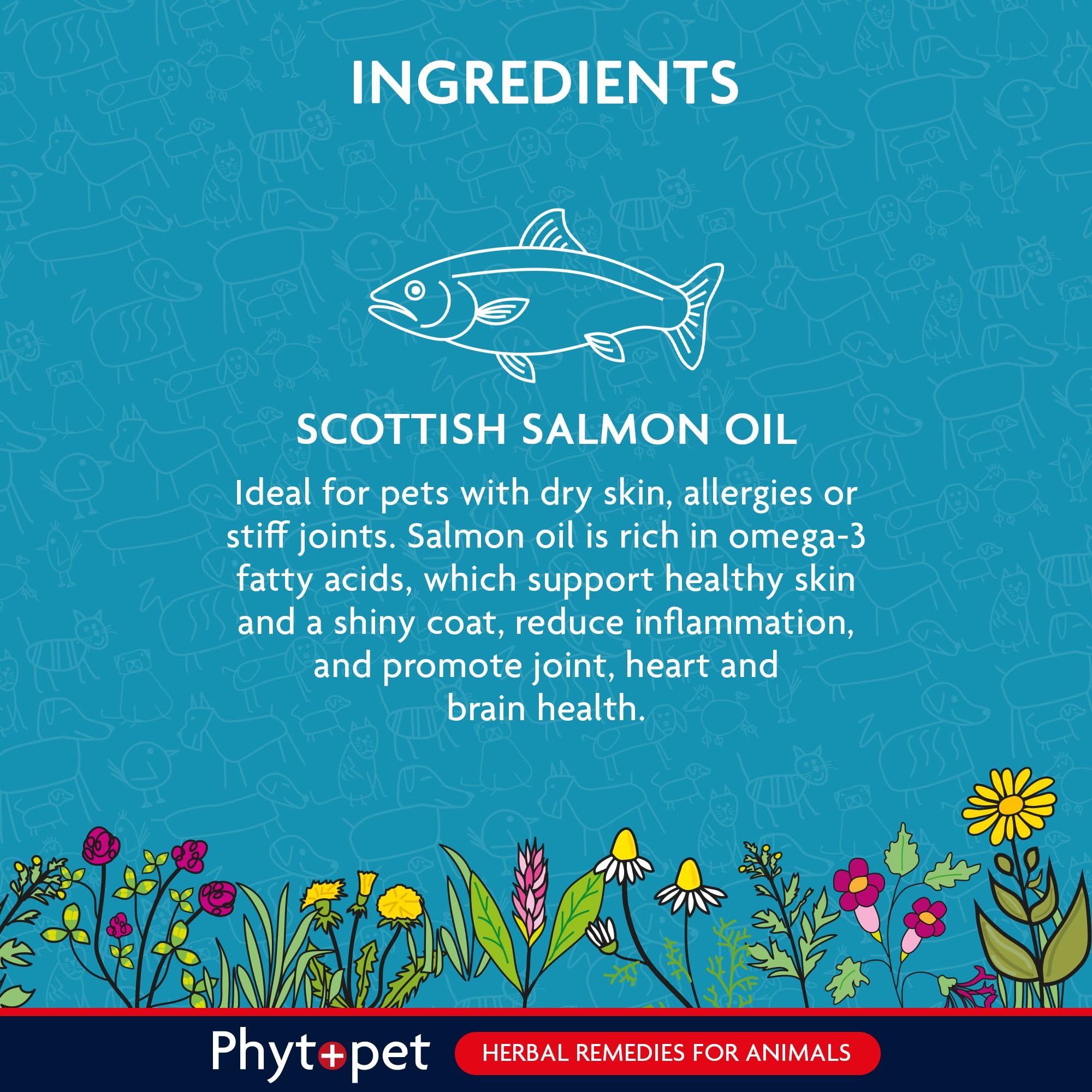 Phytopet Scottish Salmon Oil for Dogs Cats, Horses and Small Mammals, Contains Omega 3 for Cats and Dogs 500ml - Image 4