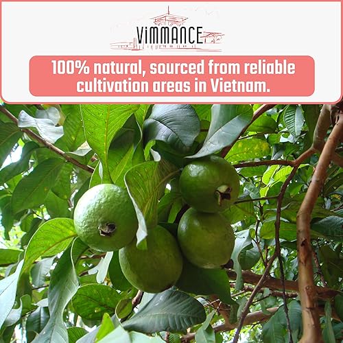 Miniatura 4 de Bolsas de Té de Hojas de Guayaba VIMMANCE, 120 unidades, Hojas de Guayaba, Té Herbal Vietnamita, Hoja de Guayaba Seca, Sin Etiqueta, 100% Natural,