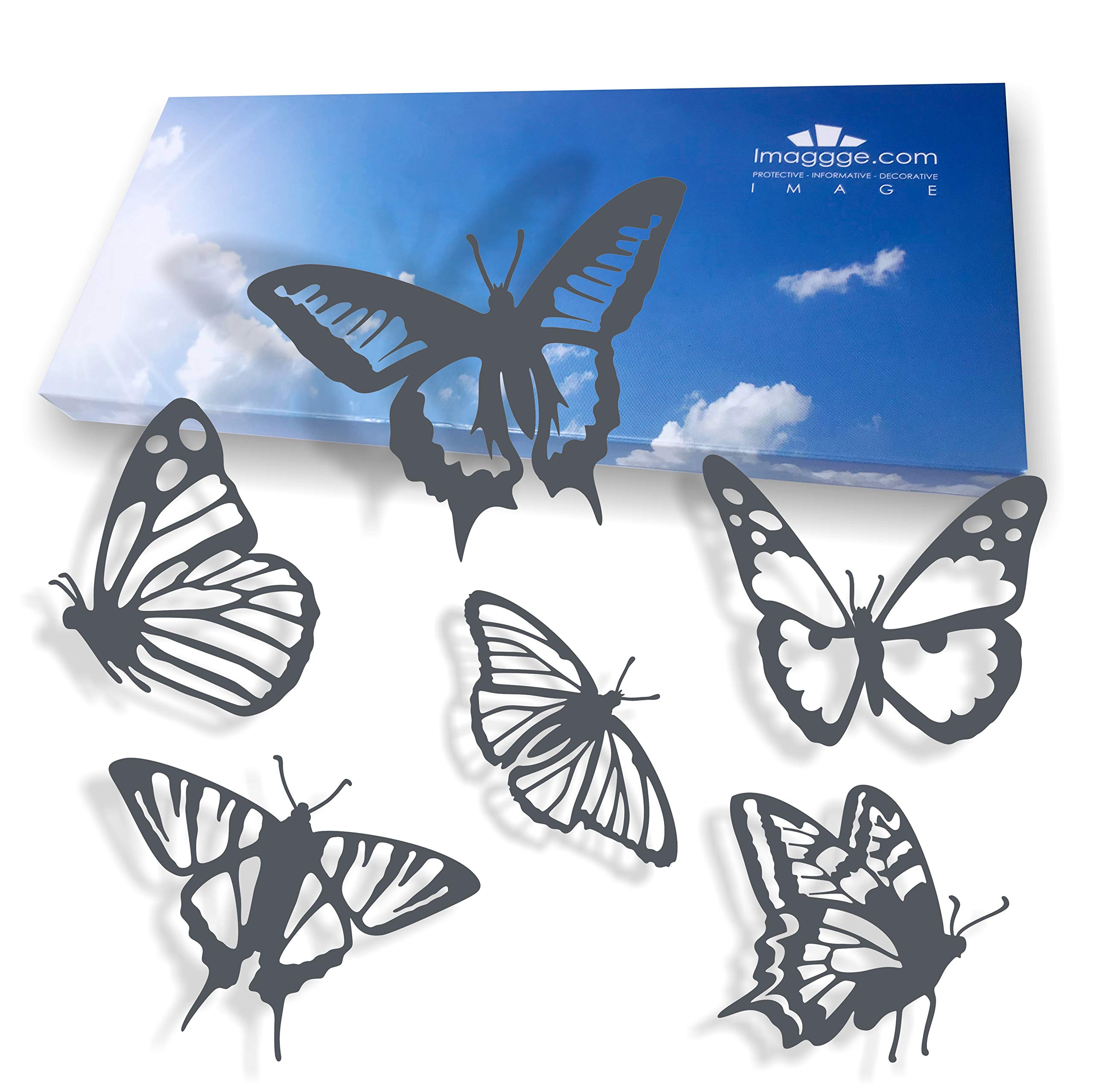 Window Protection Stickers, Anti-Collision Decals to Prevent People and Bird Strikes on Window Glass