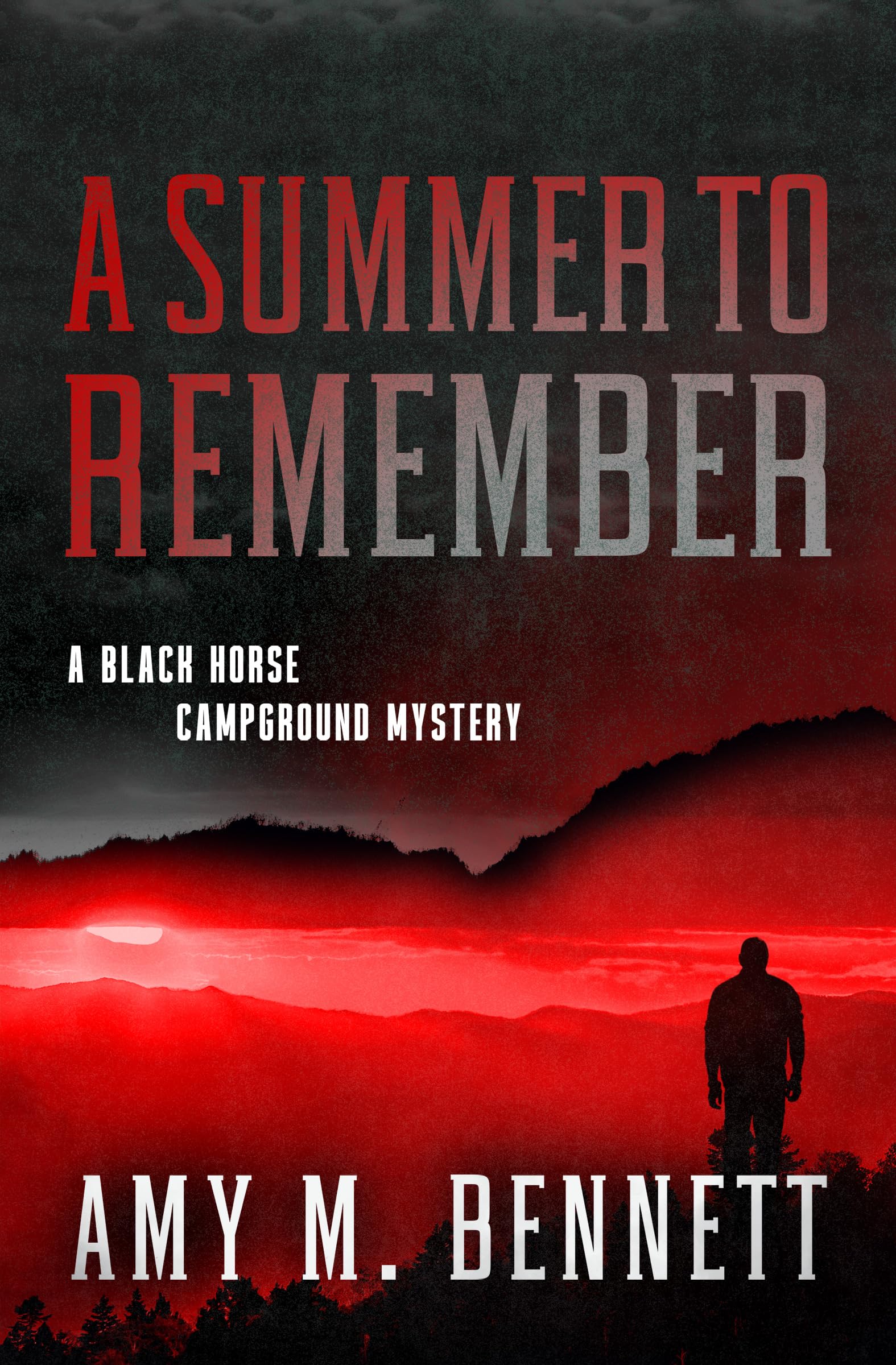 A Summer to Remember (Black Horse Campground Mysteries Book 5)