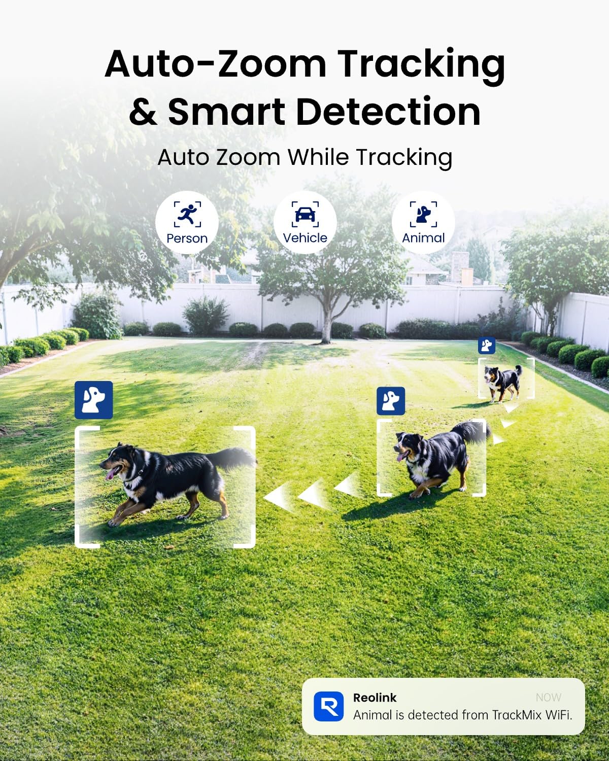 Reolink 4K PTZ WiFi Kamera Bezpieczeństwa z Dual-Lens 6-krotnym Zoomem Hybrydowym, Obrotem 360° i Pochyleniem 90°, Noktowizją, Wykrywaniem Obiektów i Dwukierunkowym Dźwiękiem, TrackMix WiFi