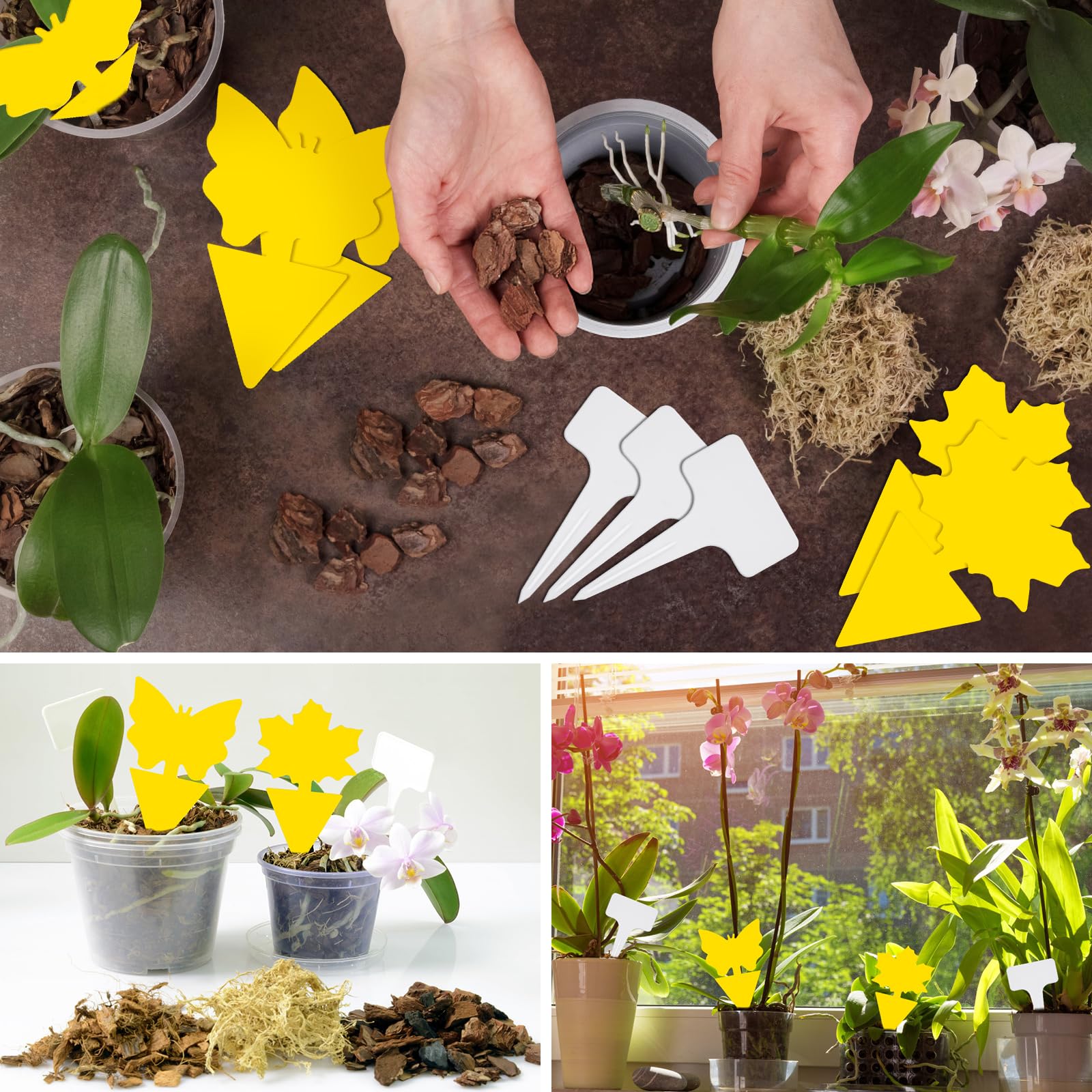 Sustrato 3L Corteza de Pino Corteza para Orquídea y 200g Musgo Sphagnum para Orquideas Musgo Natural Vivo, con 5 Regalos de Jardinería