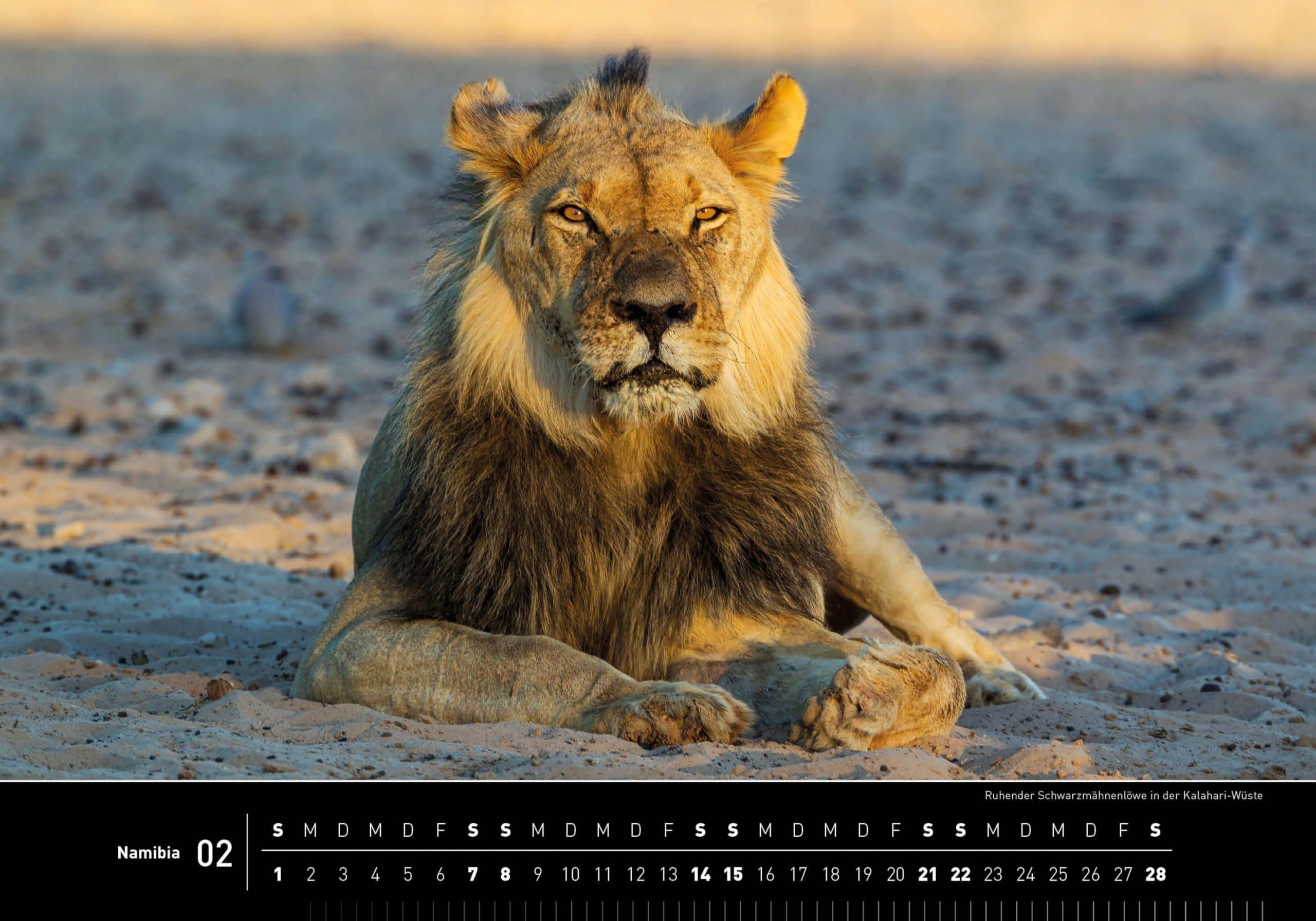 Namibia Premiumkalender 2026 (360° Premiumkalender 2026: Format 50 x 35 cm)