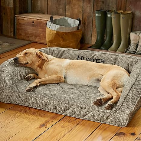 orvis dog beds amazon