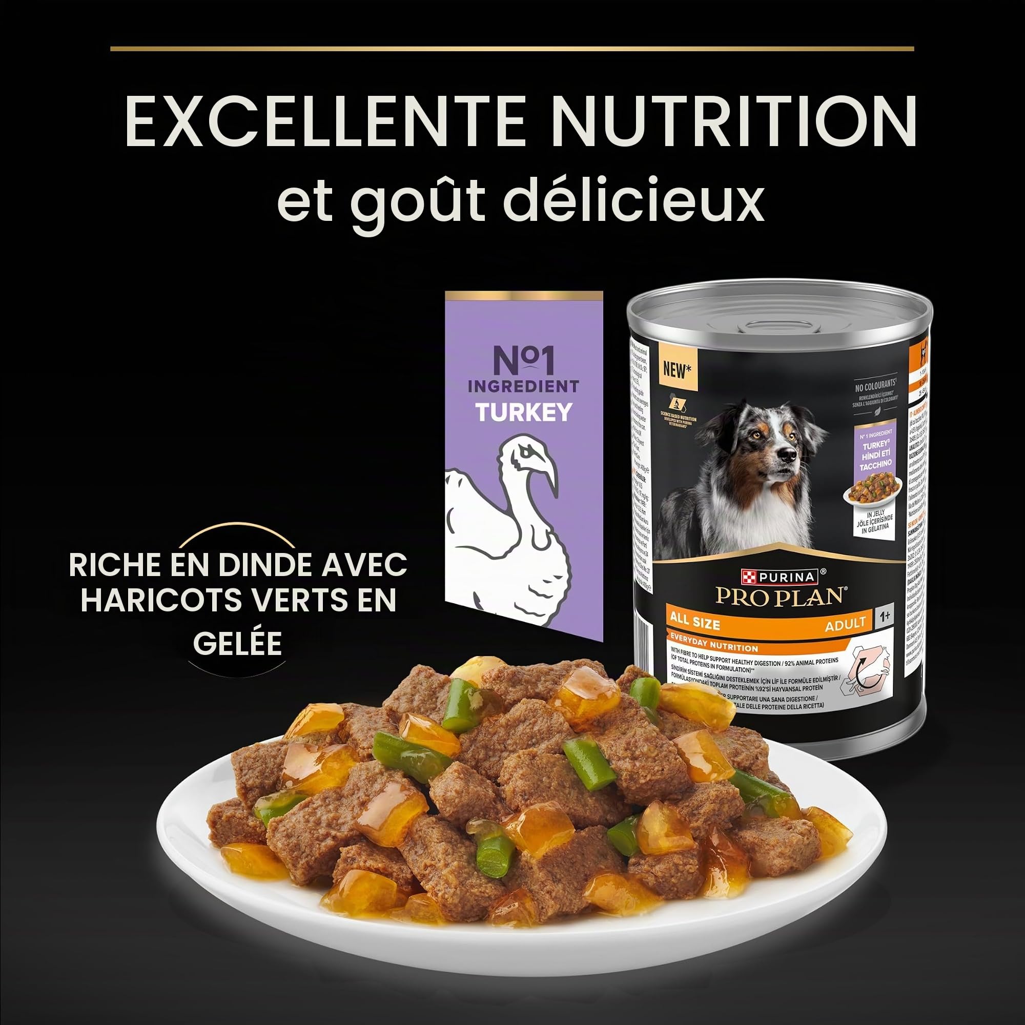 Purina Pro Plan - pâtée en Gelée pour Chien Adulte Riche en Dinde - x 12