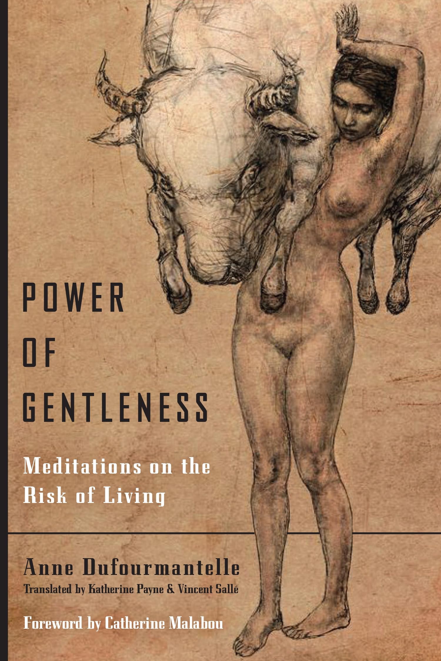 Power of Gentleness : Meditations on the Risk of Living