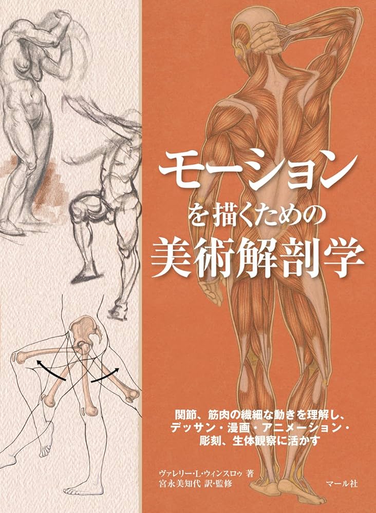 【イラスト・美術解剖学の初心者必見】人気の参考書纏め売り デッサン人形付き イラスト・美術解剖学の初心者必見】人気の参考書纏め売り