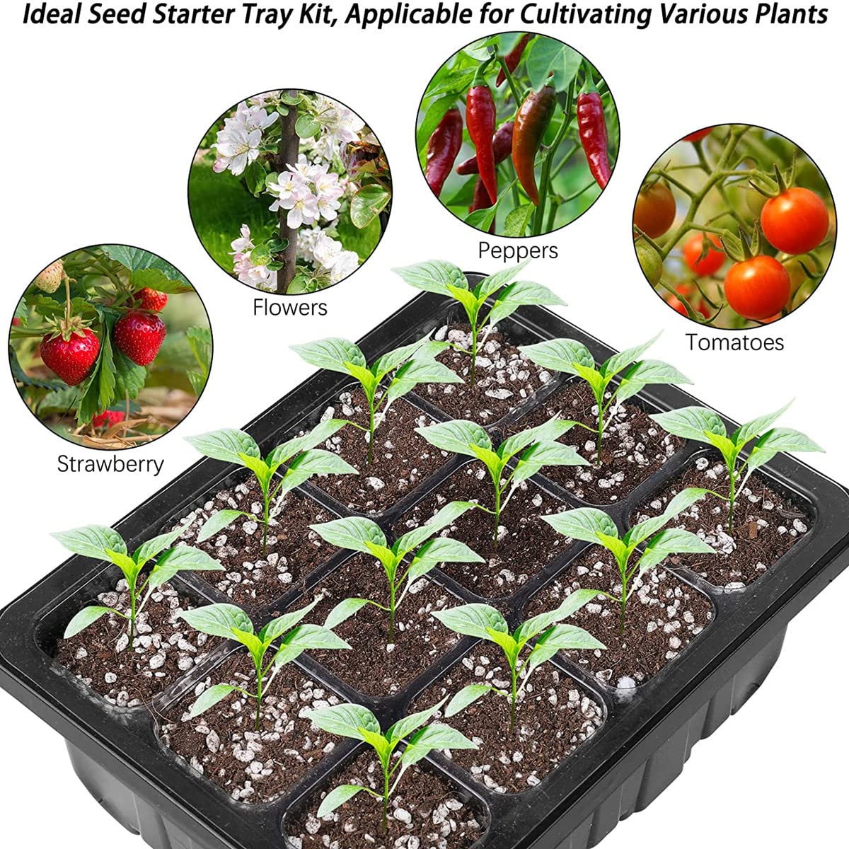 Serra Germinazione,Vassoi di Avviamento per Piantine con 12 Cupole Ventilate per Piante la Semina di Che Crescono,Adatto per Piantare Interni sui Balconi del Giardino (10 PCS-B)