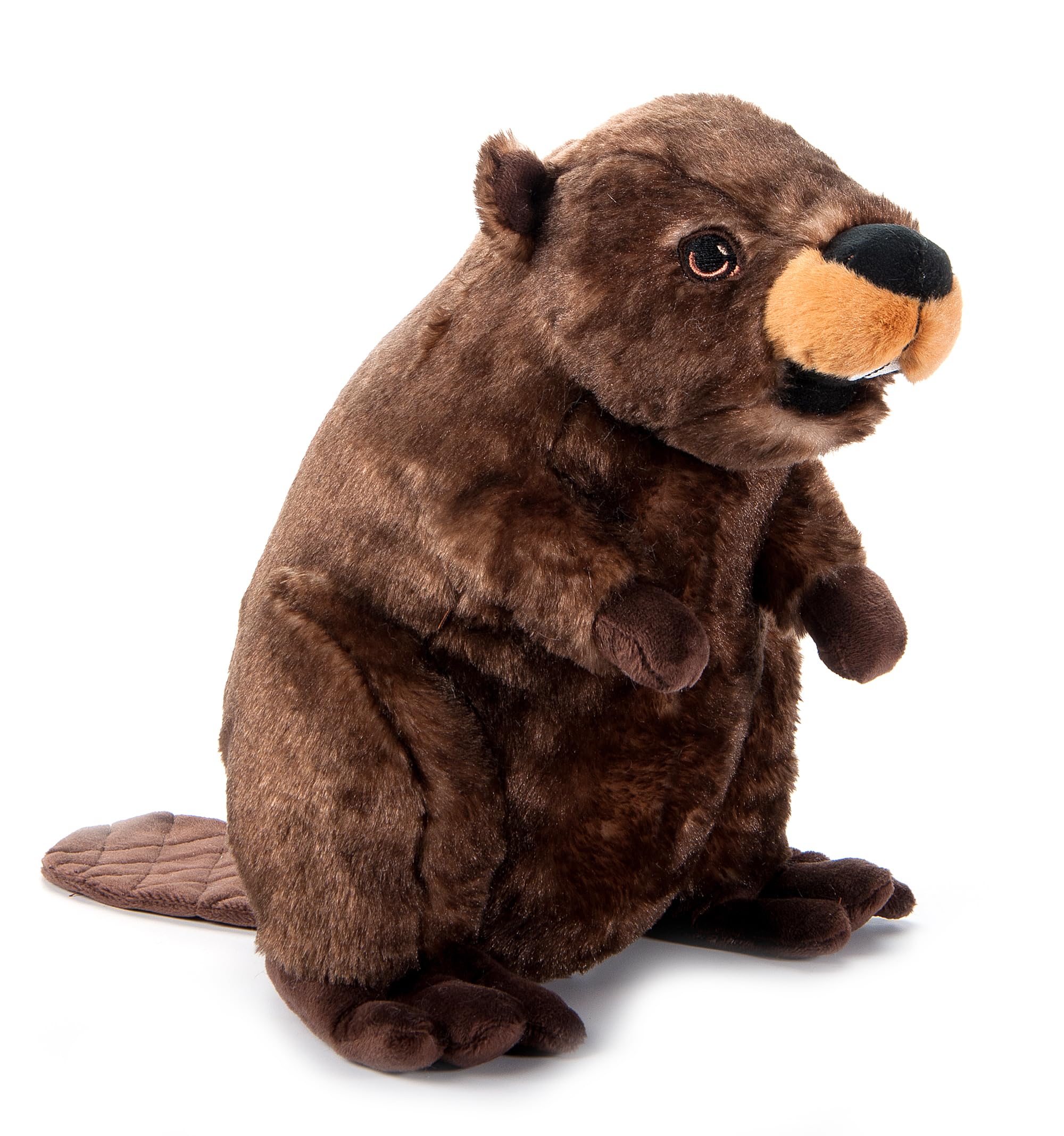 Amazon.com: The Petting Zoo Beaver Stuffed Animal Plushie, Gifts