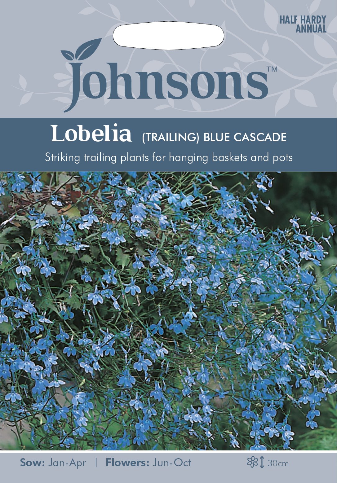 Johnsons 16526 Flower Seeds, Lobelia (Trailing) Blue Cascade
