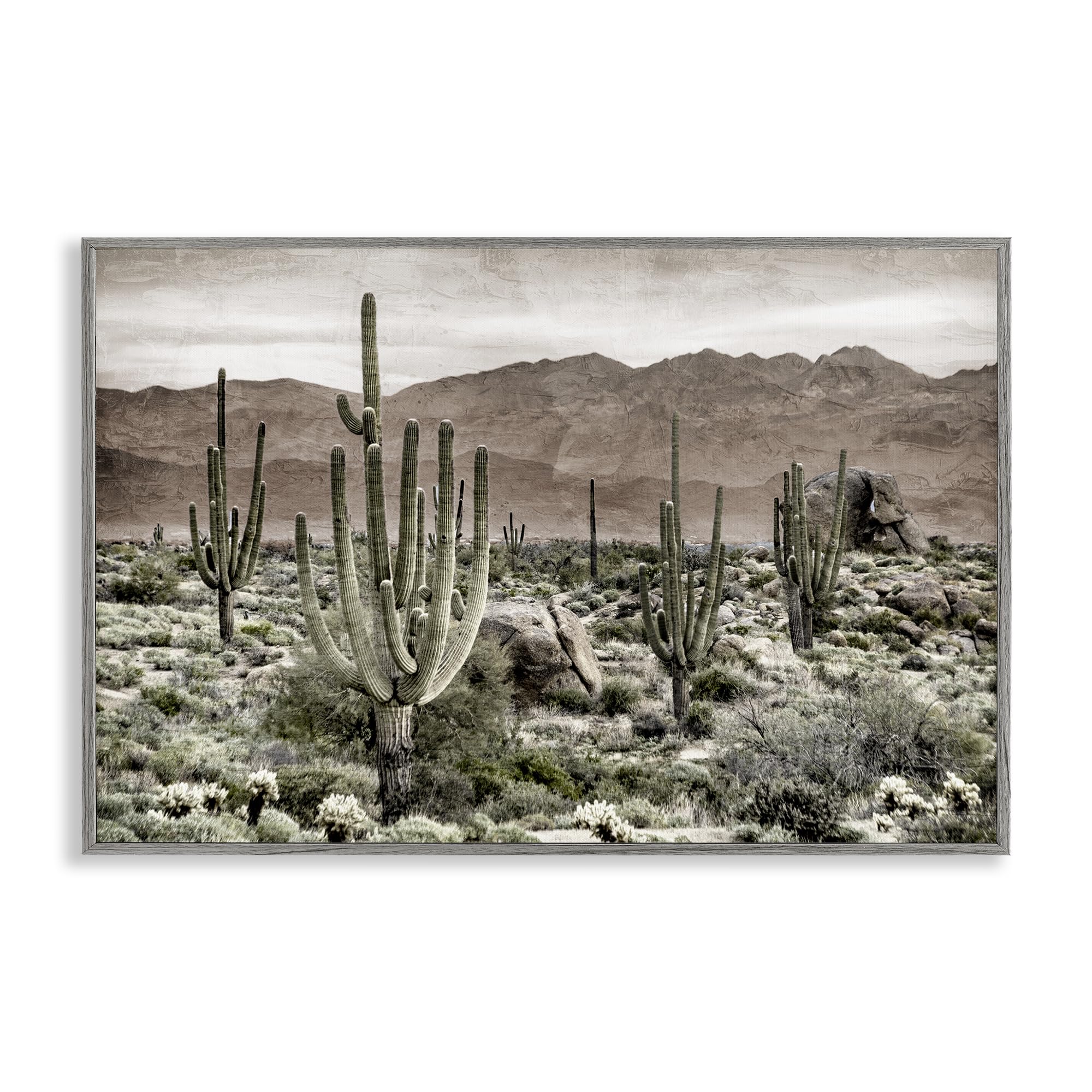 Stupell Industries Farmhouse Gray (Textured) Desert Cacti Wilderness Landscape, 16 X 24 Inch Framed Giclée Print