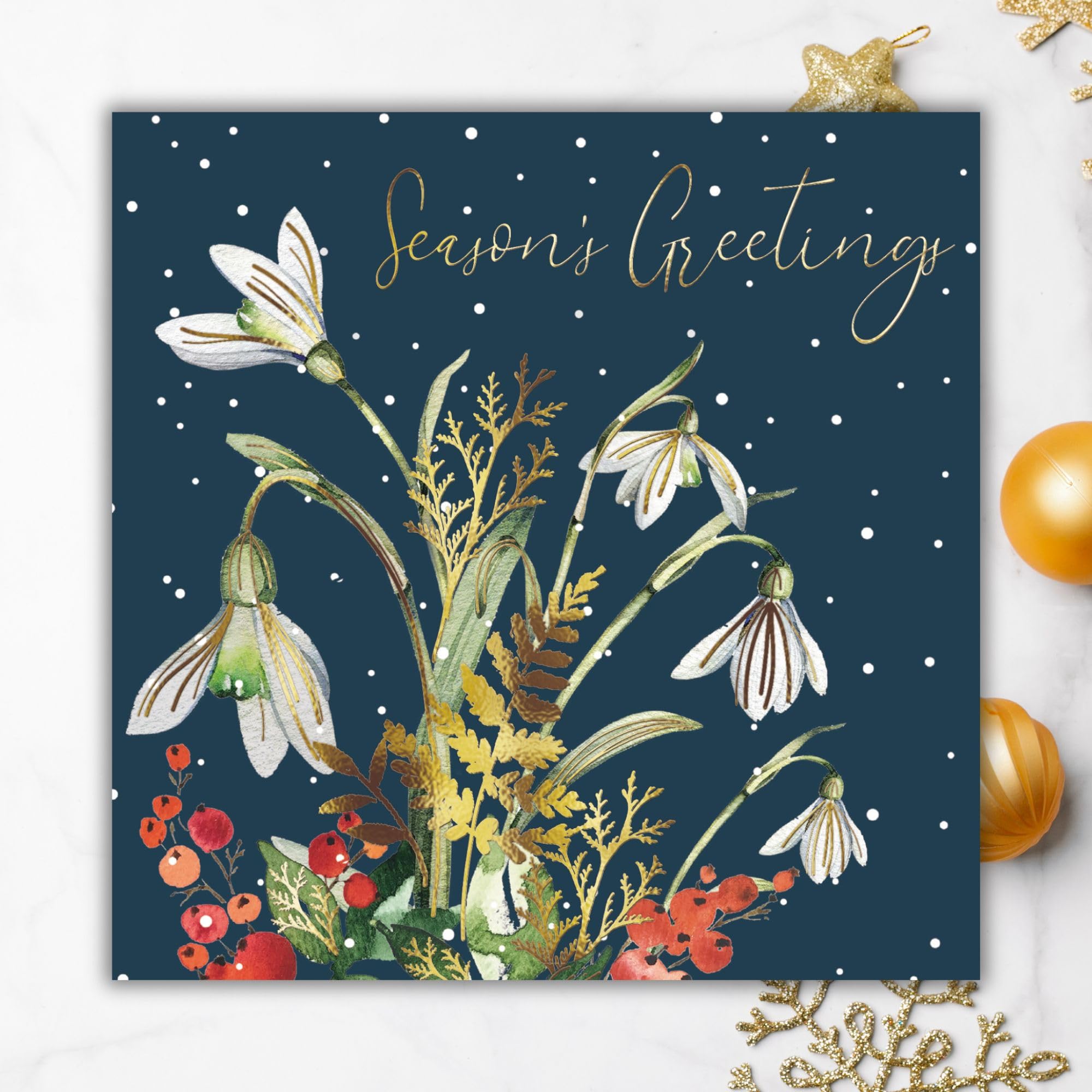 Biglietti natalizi di beneficenza, confezione da 6, BHF, Marie Curie Cancer Care, Oxfam, NSPCC, Parkinson and Stroke Association, animali e Babbo Natale nel cielo, design artistico festivo – ecologici