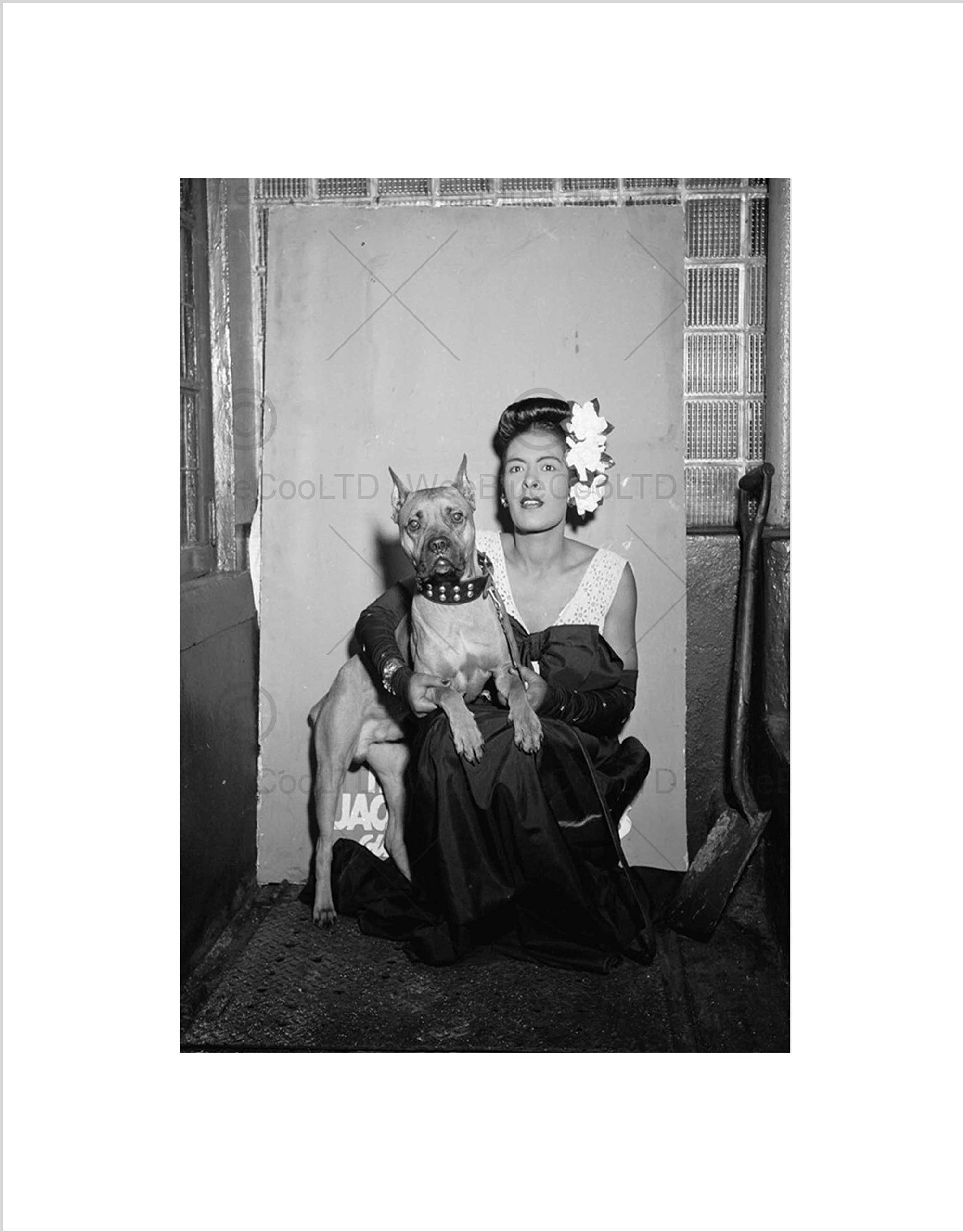 Wee Blue Coo OLD PORTRAIT BLUES JAZZ SINGER BILLIE HOLIDAY USA FRAMED ART PRINT B12X3766
