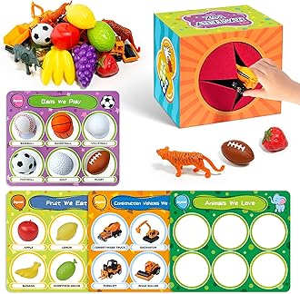 JoyCat Sorting Toys for Toddlers with Mystery Play Box & Play Mats - Autistic Speech Therapy, 24 Fun Toys, Animals, Fruit, Vehicles, Balls Set, Toddler Toy for 3-5, Preschool Educational Learning Gift