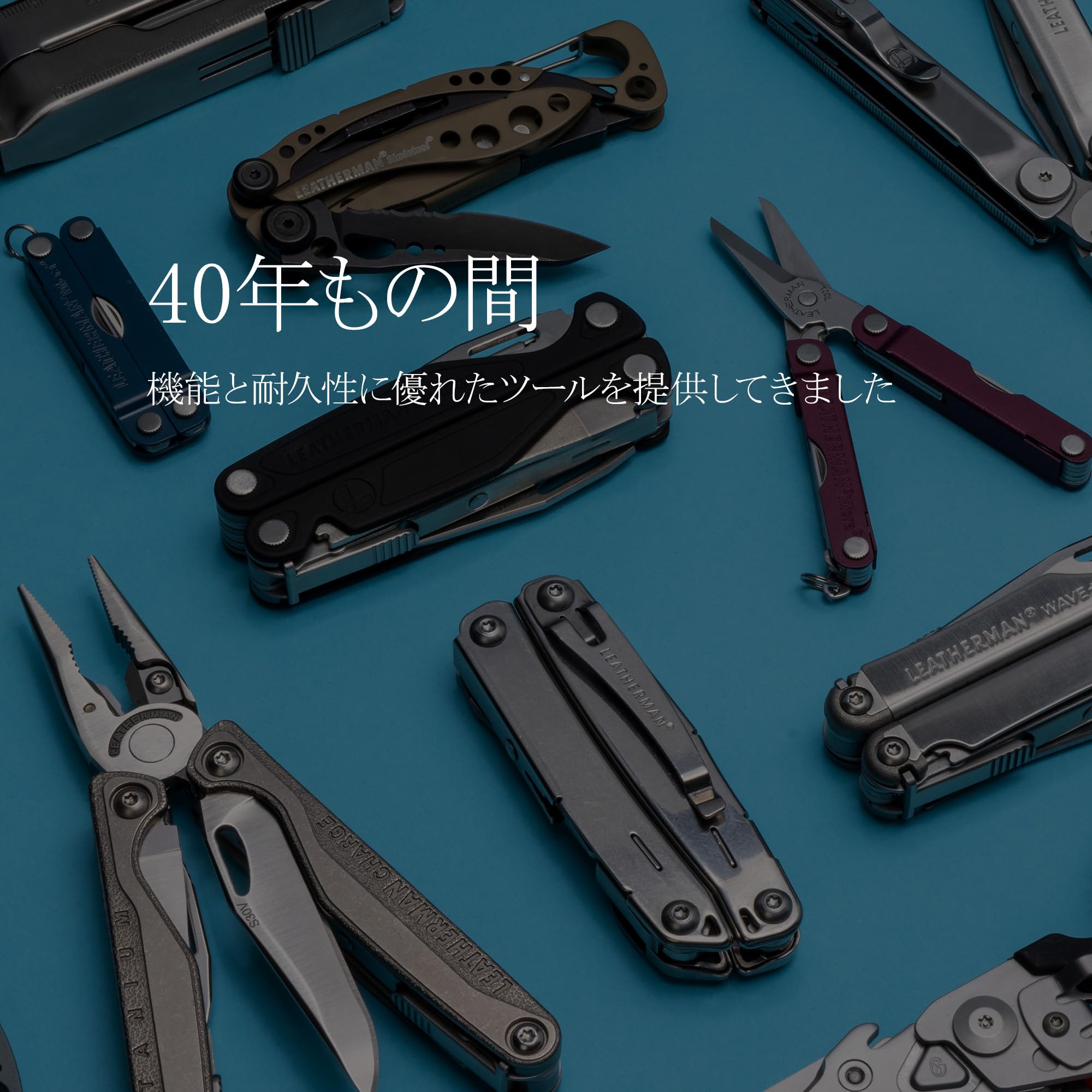 エレクトログライド　レザーマルチポケット セルロイド別注]ワイツーレザー エコホースライト シングル