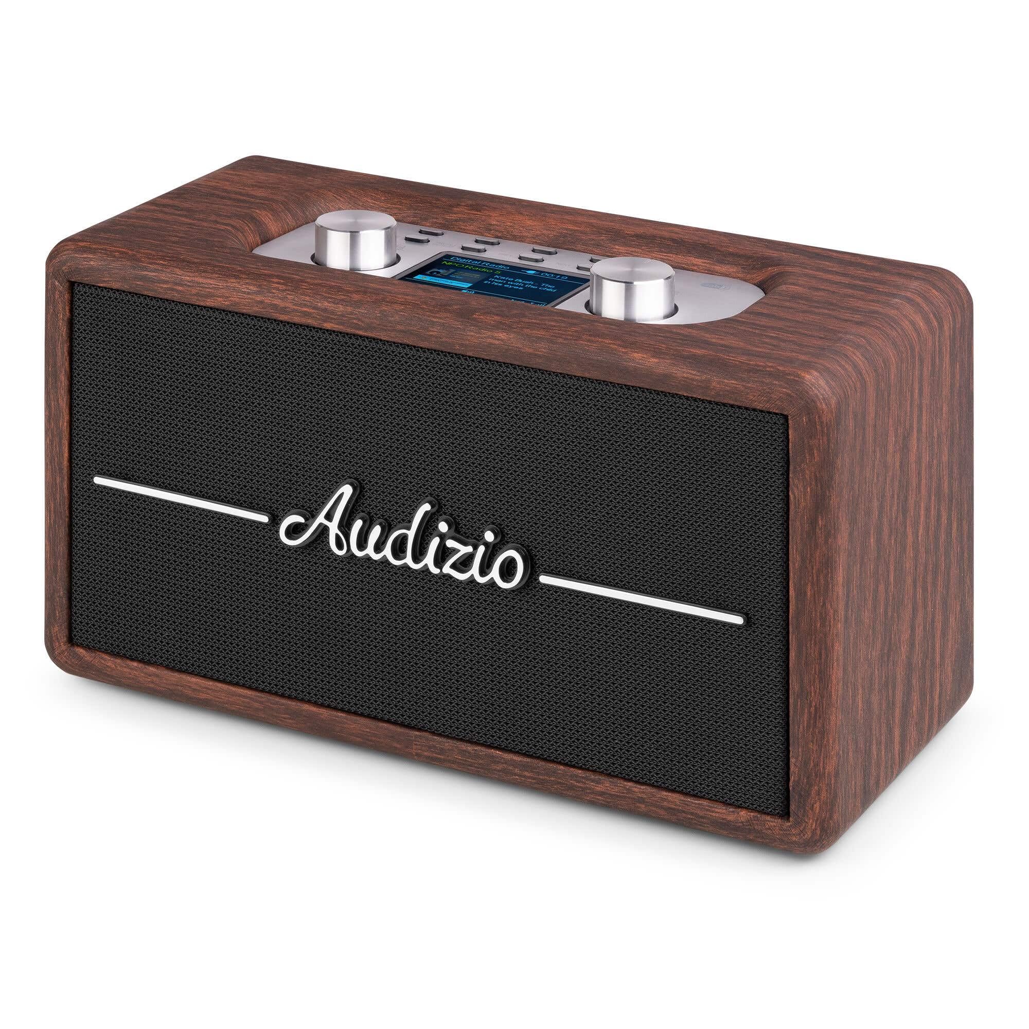 Audizio Tune60 Enceinte Portable BT Rétro avec Radio Dab+ et FM - Haut Parleur sans Fil Vintage 40W avec USB, Micro SD, AUX et Télécommande - Enceinte Mobile Design Noyer