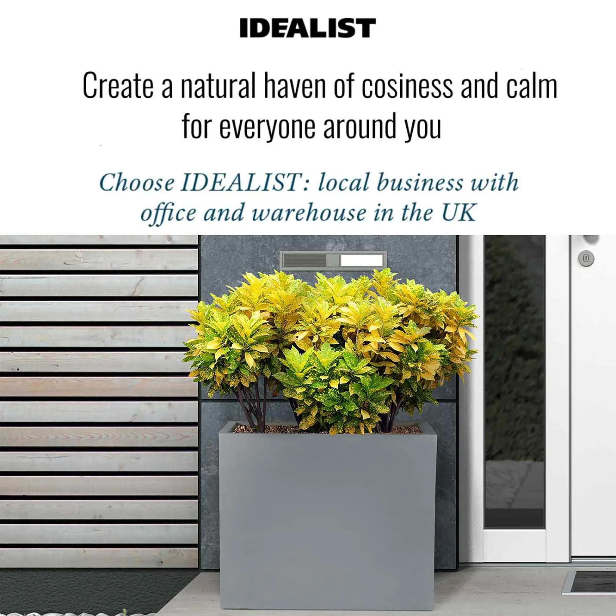 View 7