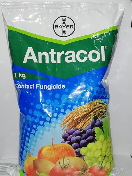 ANTRACOL 1KG(BAYER) CONTACT FUNGICIDE Propineb 70WP