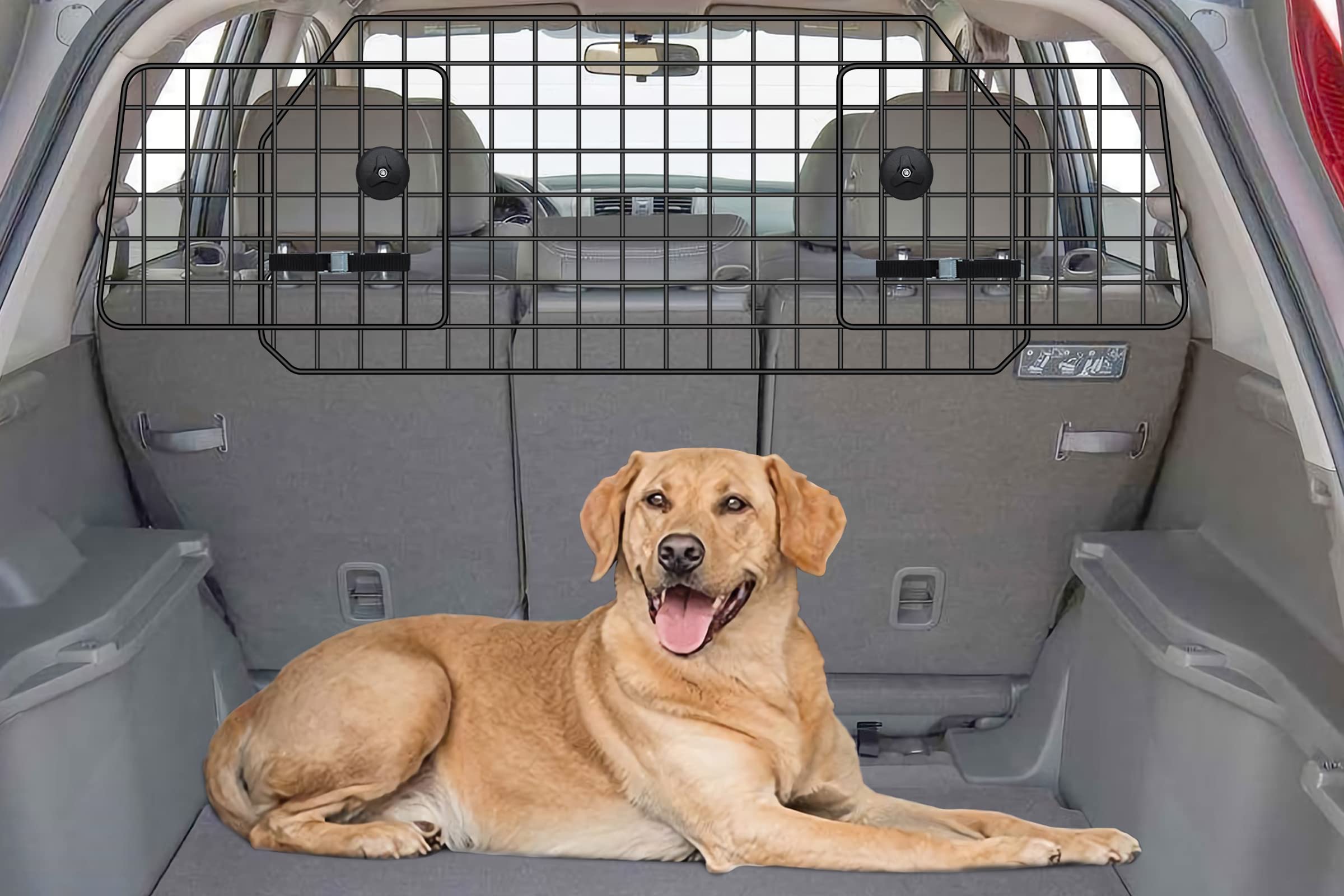 Do Dogs Need To Be Restrained In Cars Victoria
