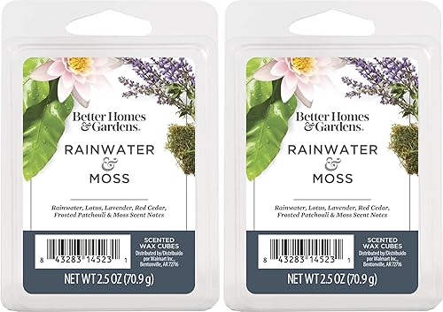 Better Homes and Gardens - Cubos de cera perfumada de 2.5 onzas, paquete de 2 (agua de lluvia y musgo)