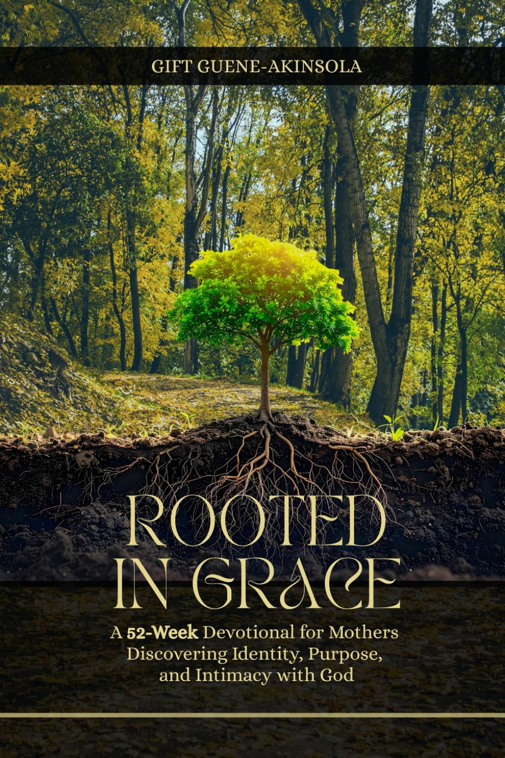 Rooted in Grace: A 52-Week Devotional for Mothers Discovering Identity, Purpose and Intimacy with God