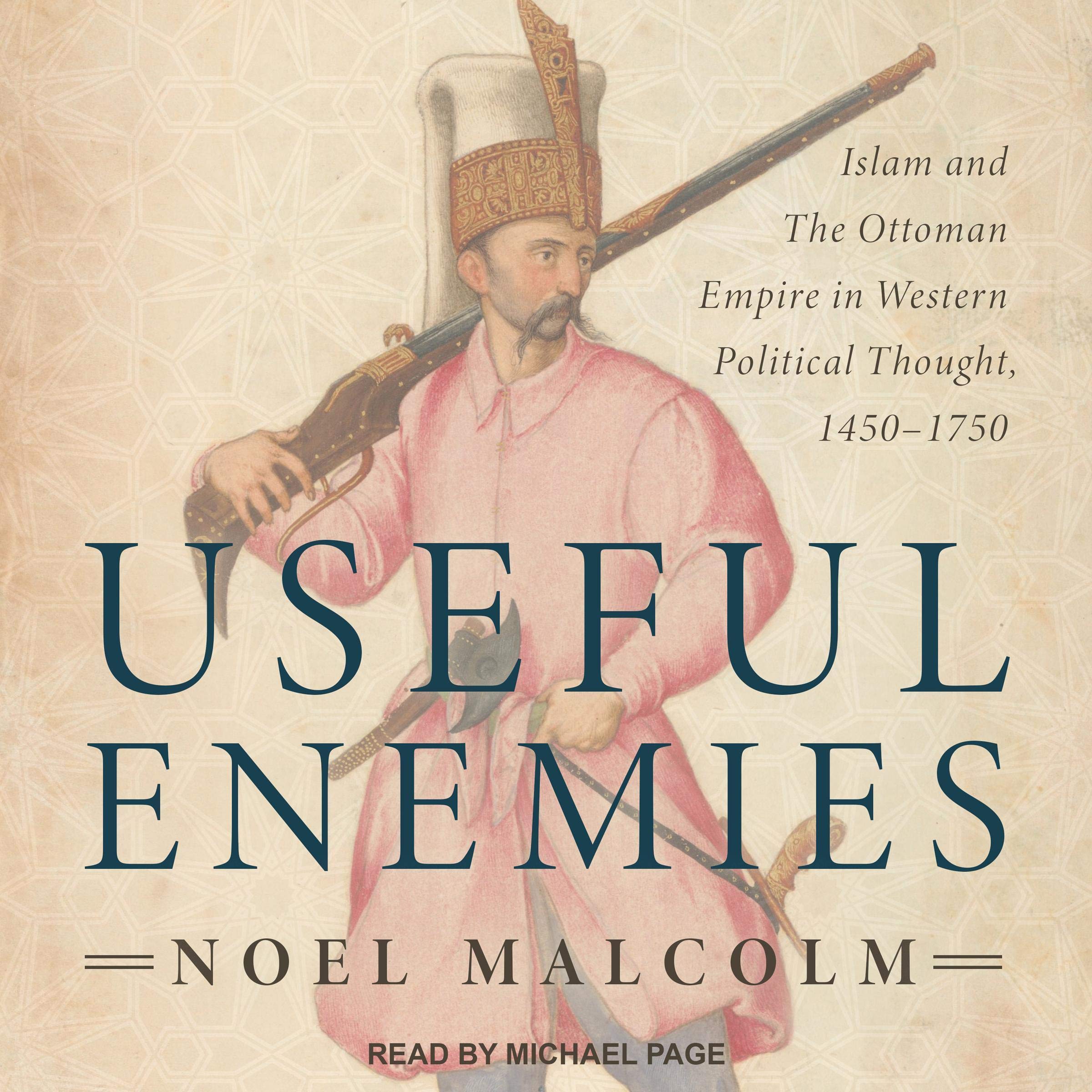 Cover art for Useful Enemies