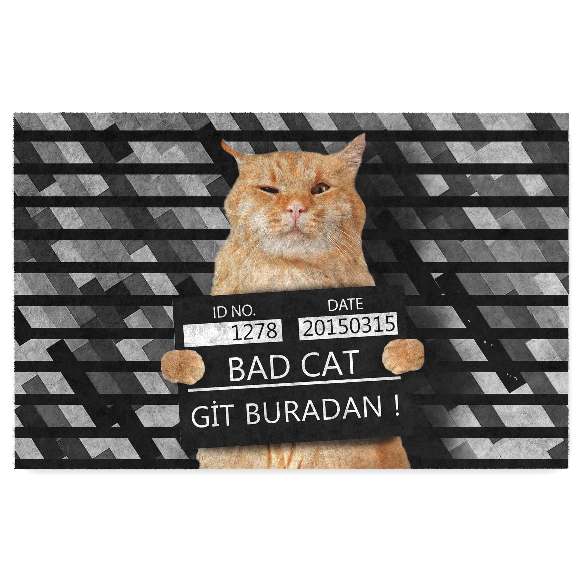 Monnhein Kedi Köpek Komik Tasarımlı Dekoratif Kapı önü Paspas, Dış Mekan/Ev İçi/Banyo/Mutfak/Yatak Odası/Giriş Paspasları (Git Buradan, 40x60)