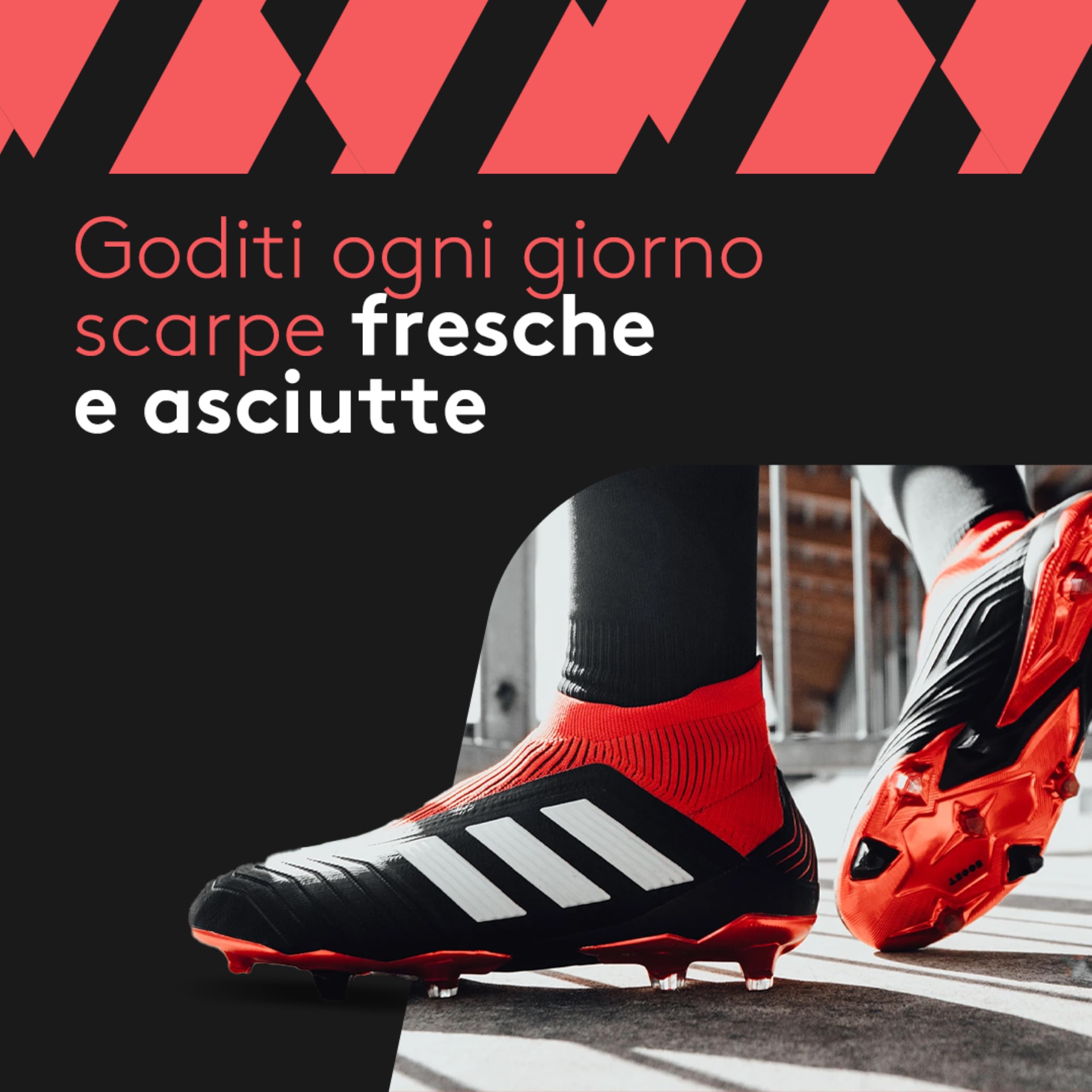 ShoeDry OZONE - Asciugascarpe e Deodorante per Scarpe - Tecnologia Ozono - Elimina batteri e funghi - Nessun odore sgradevole - Scarpe fresche e pulite - Energeticamente efficiente.