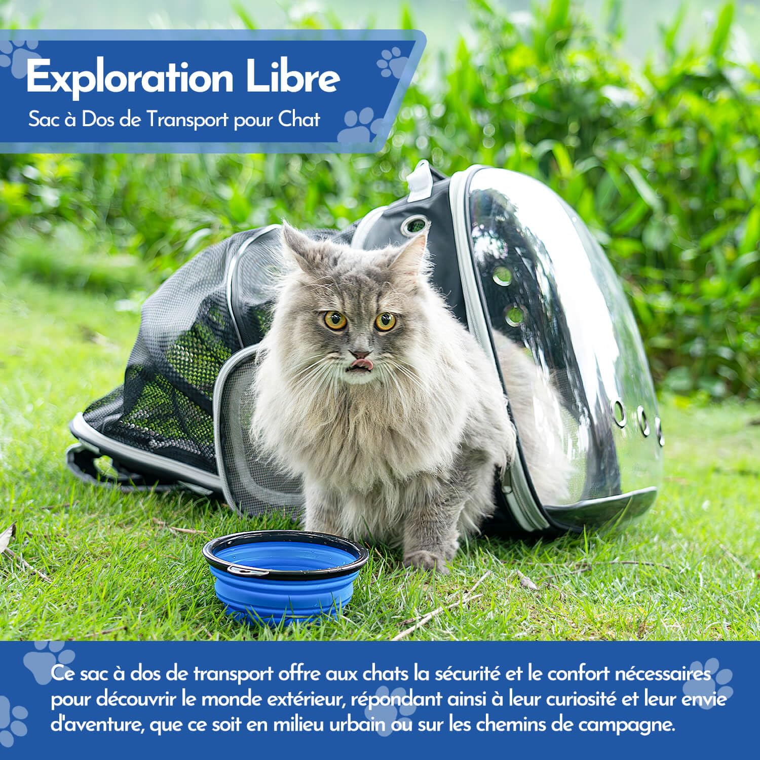 Chic Chats Accessoires Félinement Chic, Naturellement Miaou, Sac de Transport pour Chat, Sac de Transport pour Chien, Bulle Transparente, Caisse de Transport Chat, Sac a Dos Chat, Filet Respirant