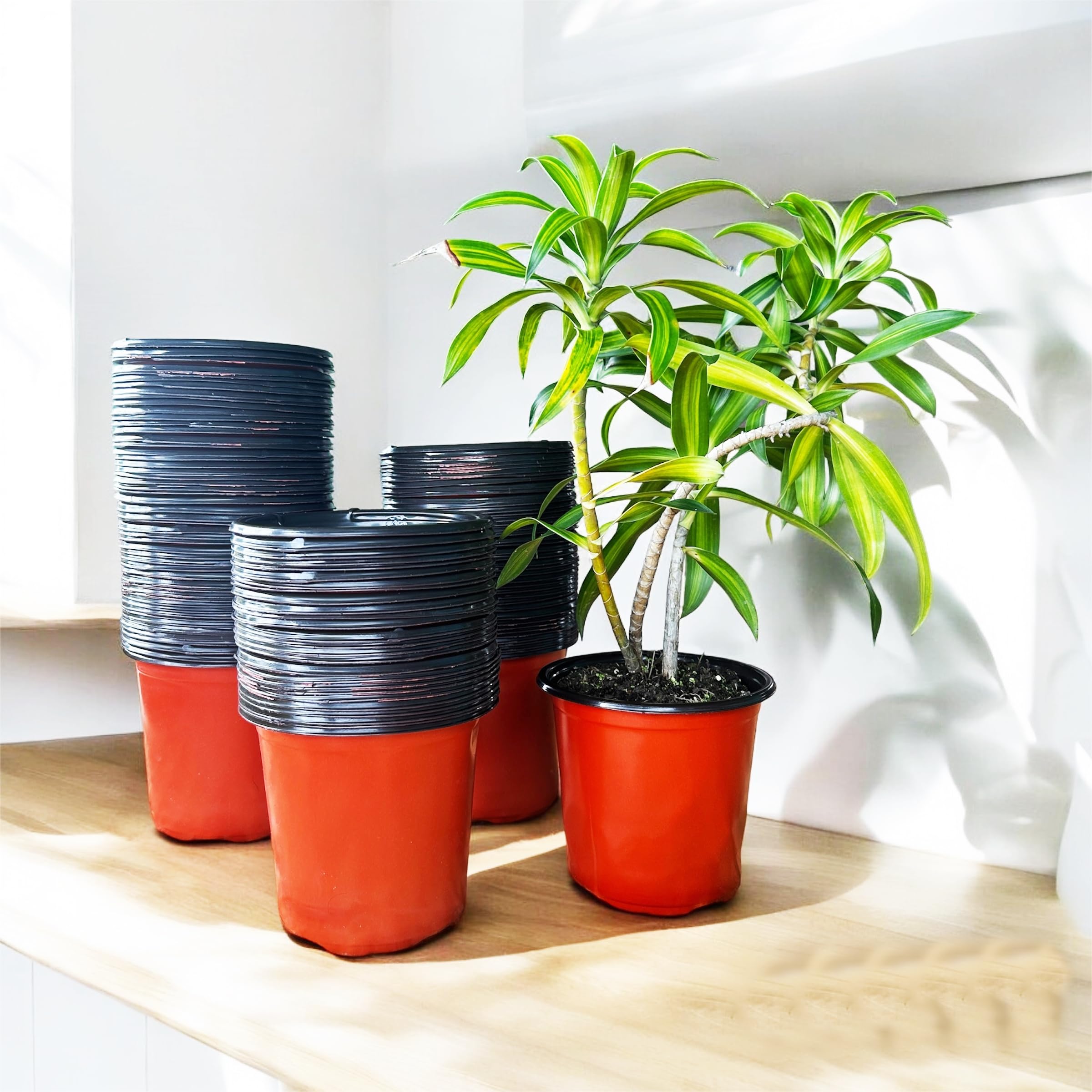 Saplings World Thermoformed Plastic Pots (5 Inch Size - Pack of 20) | Terracotta Colour | Unbreakable | Multiple Holes for Better Drainage |Best for Indoor & Outdoor Plants (B0CJ6YL5ZD) Amazon Price History, Amazon Price Tracker