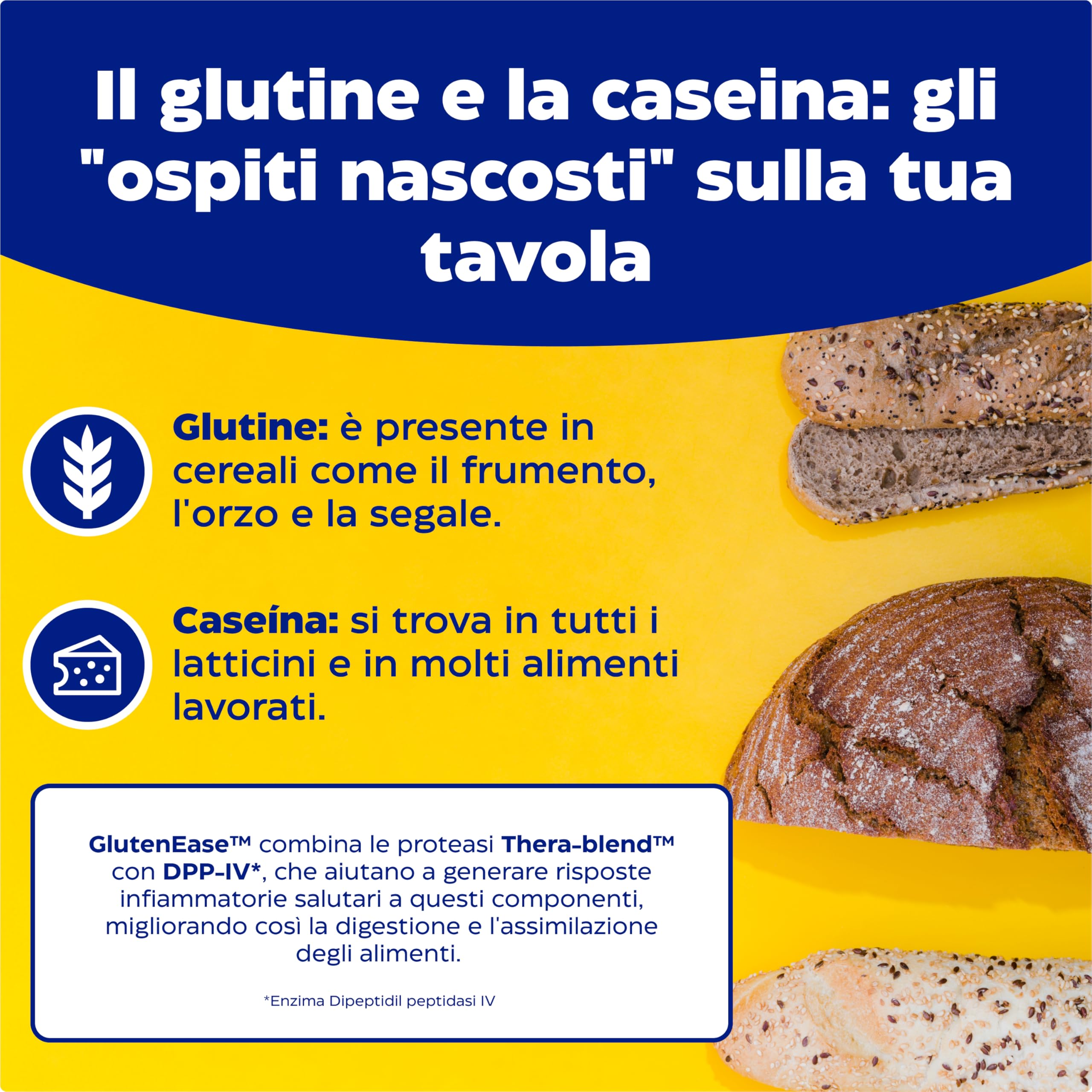 Enzymedica, Glutenease, Integratore Alimentare a Base di Enzimi Indicato contro Intolleranza a Glutine e Caseina, Riduce Gonfiore e Irregolarità, Gluten Free, Senza Lattosio, Vegano, 60 Capsulas