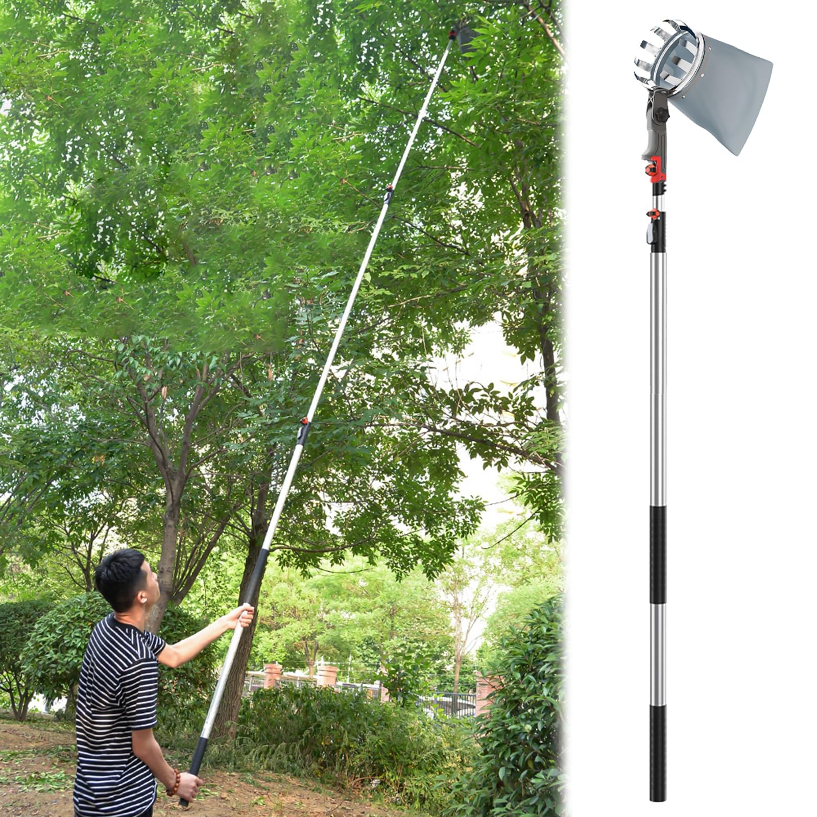 recoge fruta recogedor de frutas Herramienta para recoger frutas, cesta para recoger frutas con palo de extensión de 3, 5, 6 y 7 m para recolector de aguacates, bellotas, limones, peras y mangos(3m/65
