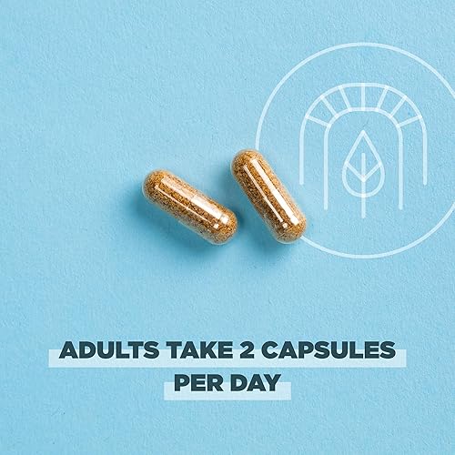 Miniatura 5 de Ancient Nutrition Cápsulas SuperVeggies con certificación orgánica regenerativa, apoya la salud intestinal y del sistema inmunológico, hechas con