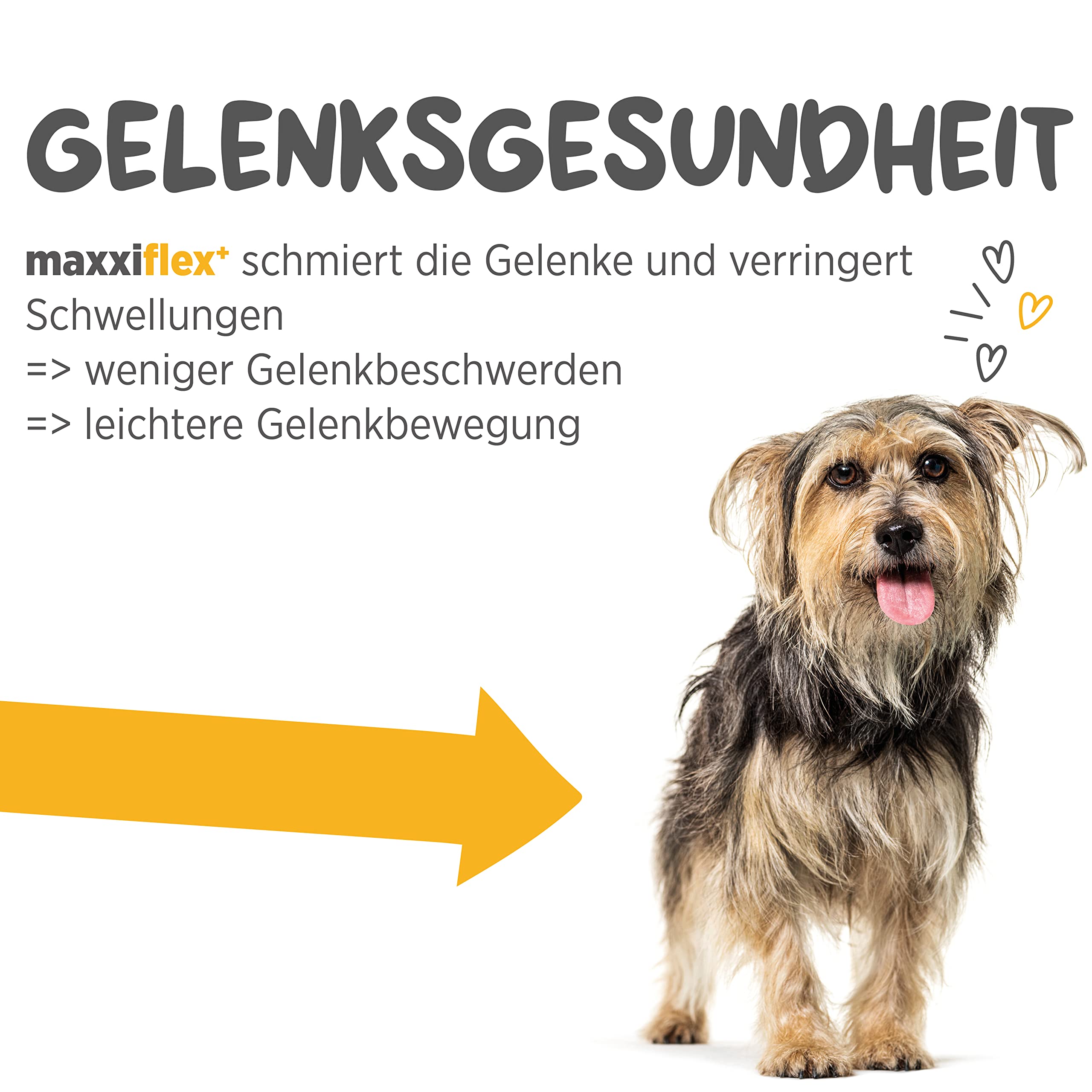 maxxiflex+ Gelenktabletten für Hunde – Teufelskralle, MSM, Glucosamin, Hyaluronsäure, Chondroitin, Bromelain, Kurkuma – 120 Stück