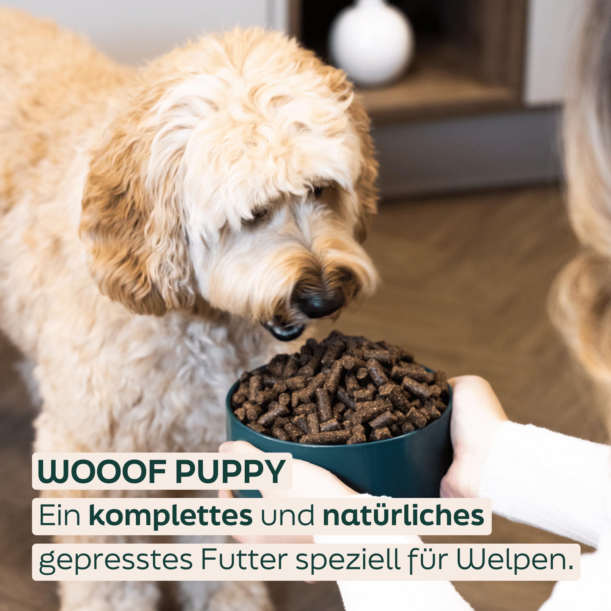 Welpen 18kg kaltgepresstes Natürliches welpenfutter Hundefutter mit Rindfleisch | Trockenfutter, leicht verdaulich, ohne Weizengluten