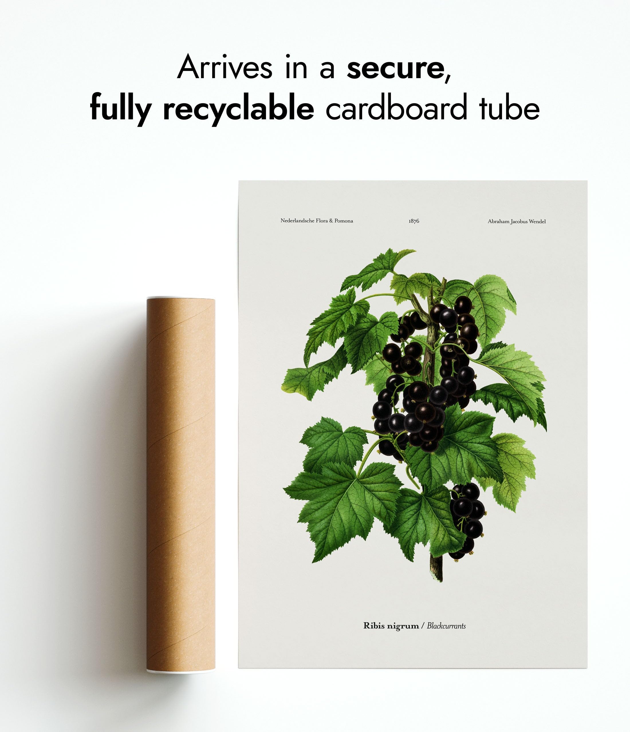 View 6