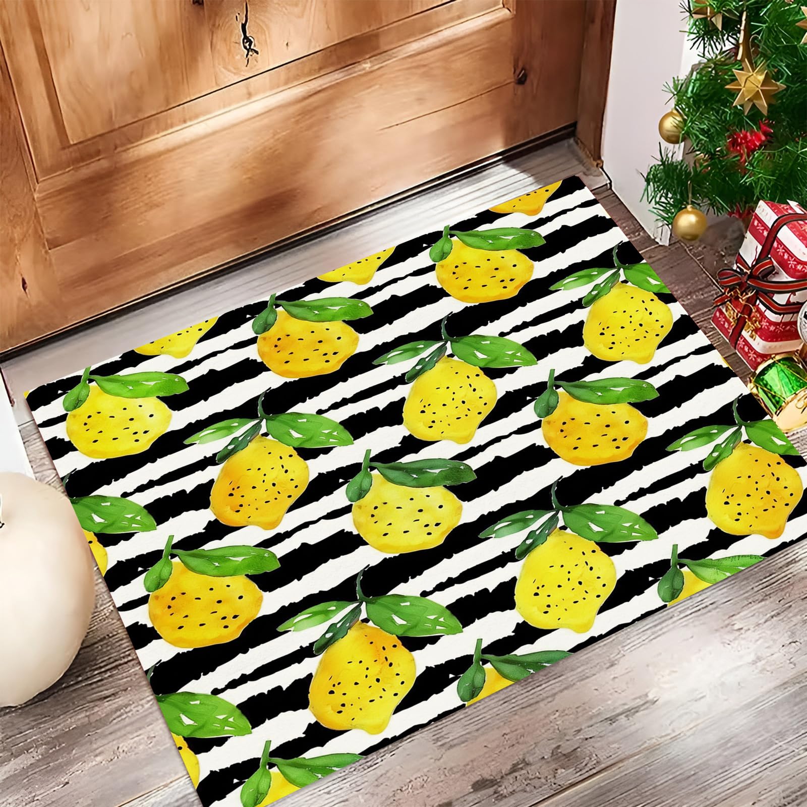 Paillasson intérieur entrée 50x80 cm tapis absorbant noir et blanc pour porte