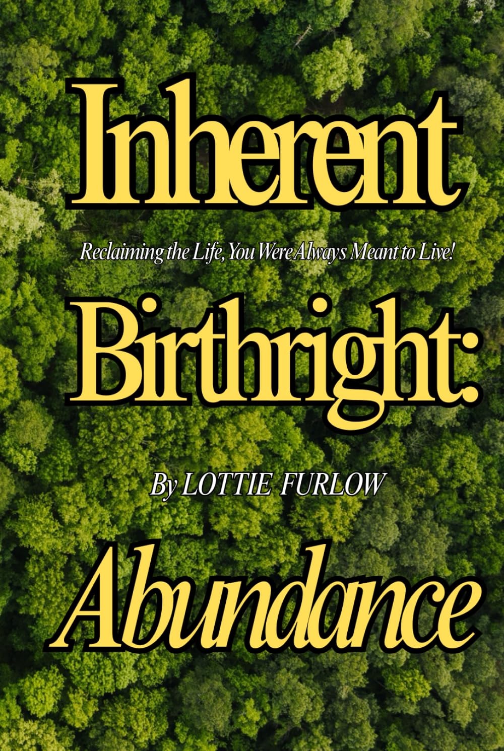 Inherent Birthright: Abundance: Reclaiming the Life, You Were Always Meant to Live!