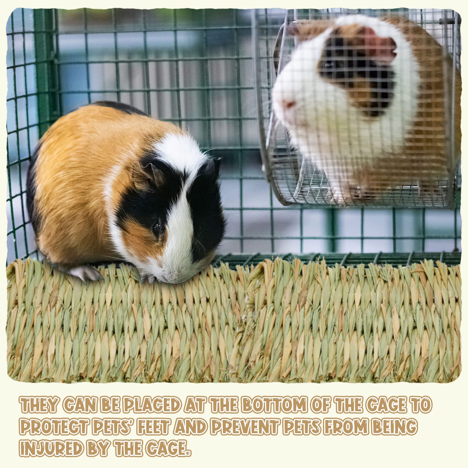 Riakrum 40 Stück gewebte Strohmatte Bett Maisschalen Kaninchen Matte Schlafen Kaninchen Bettwäsche Natürliches Kauspielzeug Bett für Papagei Chinchilla Eichhörnchen Hamster Katze Hund Kleintiere