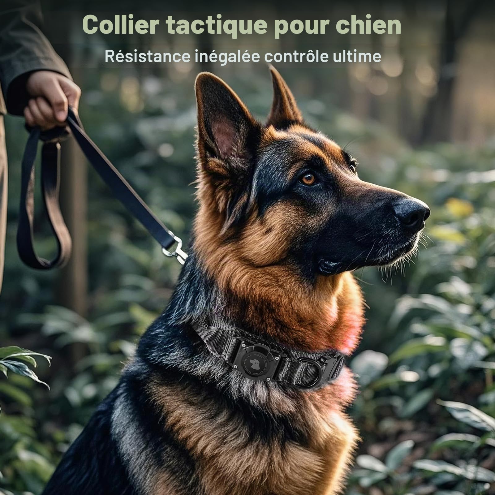 AirTag Tactical Dog Collar JIARUI Collier Tactique pour Chien avec Poignée, Collier Étanche Airtag pour Chien, Collier Épais Réglable (Noir, M(15"-19"))