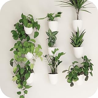 10 Garden Wall Fence Ideas for Structured Outdoor Spaces 6 PlantPod Classic - Self-Watering Wall Planters (9, White) - Easy to Wate...