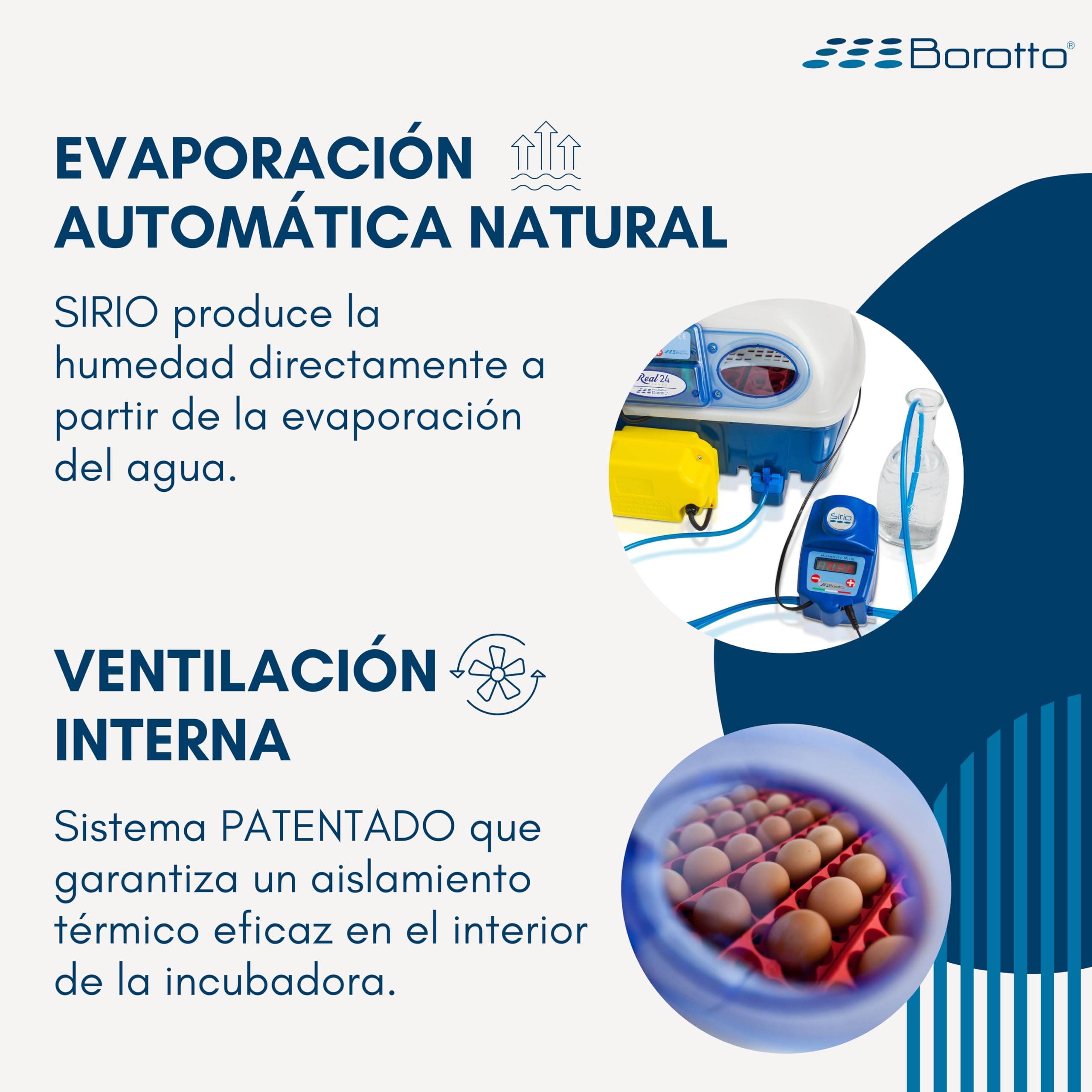 Borotto Real 24 Expert | Incubadora de Huevos Automática Profesional Patentada 24 Huevos o 96 Pequeños con Volteador de Huevos Automático, Control Temperatura, Humidificador Sirio | Made in Italy