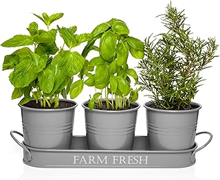 Herb Pots with Tray Set, Indoor Herb Planter, Farmhouse Inspired Decorative Herb Garden Planter with Drain Holes for Healthy Plants, Ideal for Indoor Windowsill, Gray