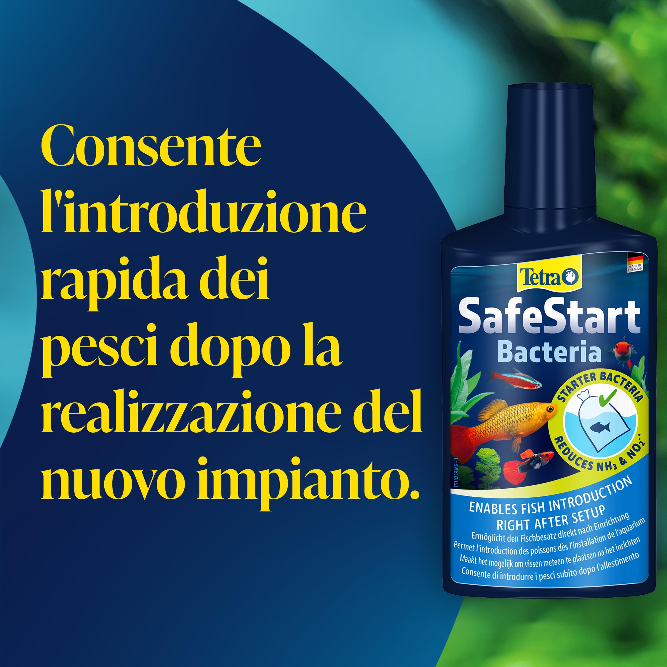 Tetra SafeStart Attivatore per Acquari, Consente di Introdurre i Pesci Immediatamente dopo L'allestimento dell'Acquario, 100 ml