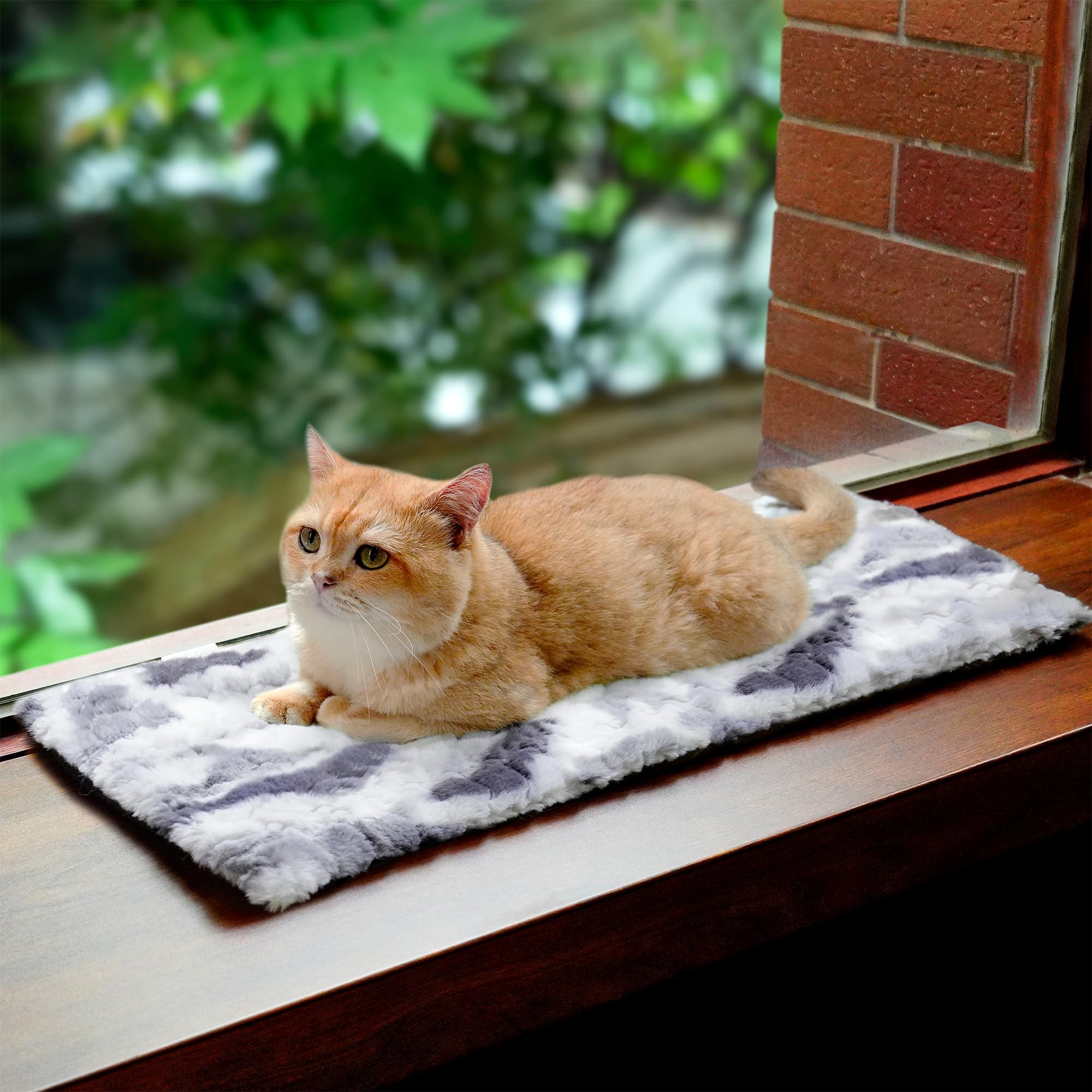 Petace Cat Window Bed 60 x 24 cm, Cat Window Hammock