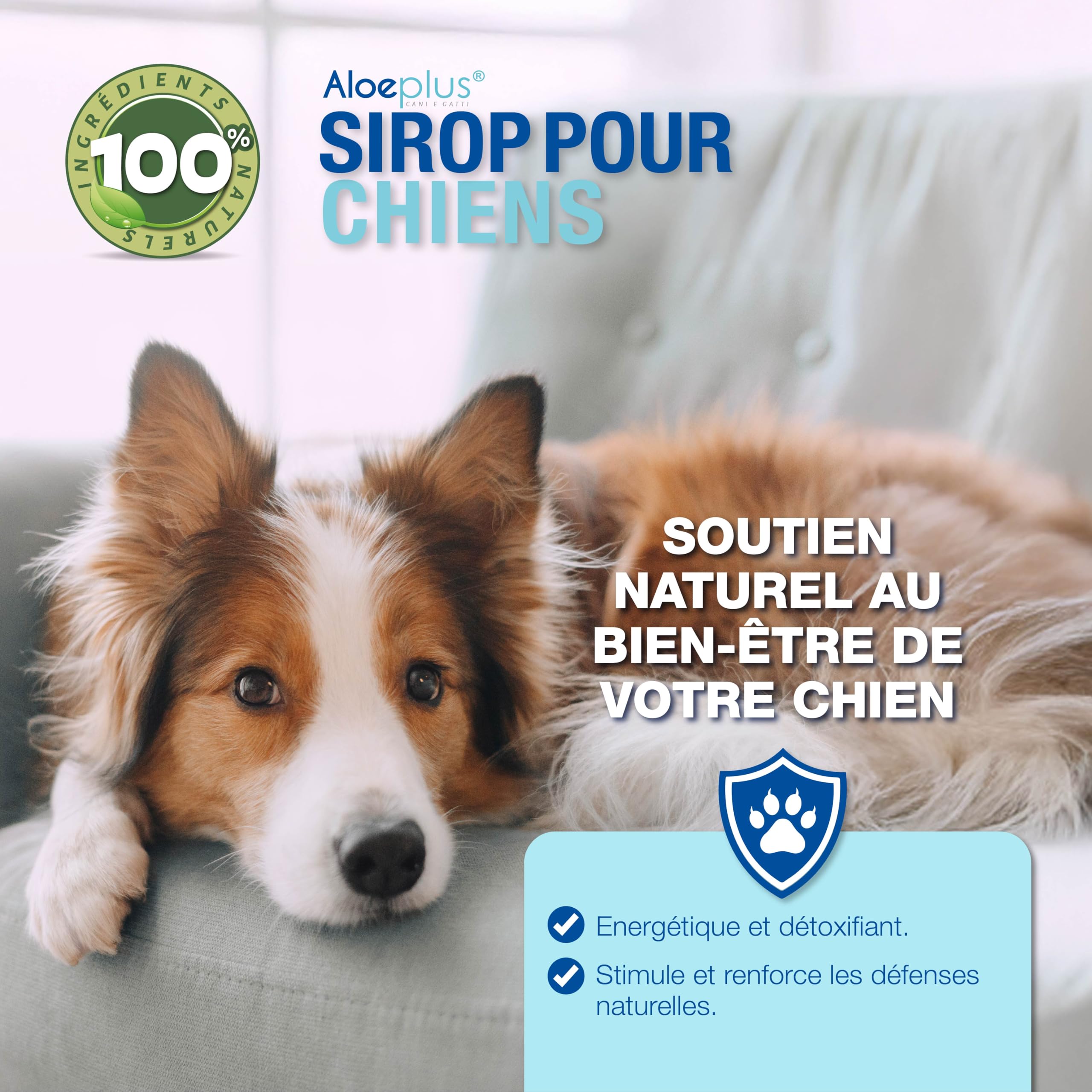 ALOEPLUS Chiens Sirop 150ml - Complément Alimentaire Énergétique et Détoxifiant à Base d'Aloe Arborescens Bio, Renforce Les Défenses Naturelles, Idéal comme Revitalisant pour Chiens Âgés et Chiots