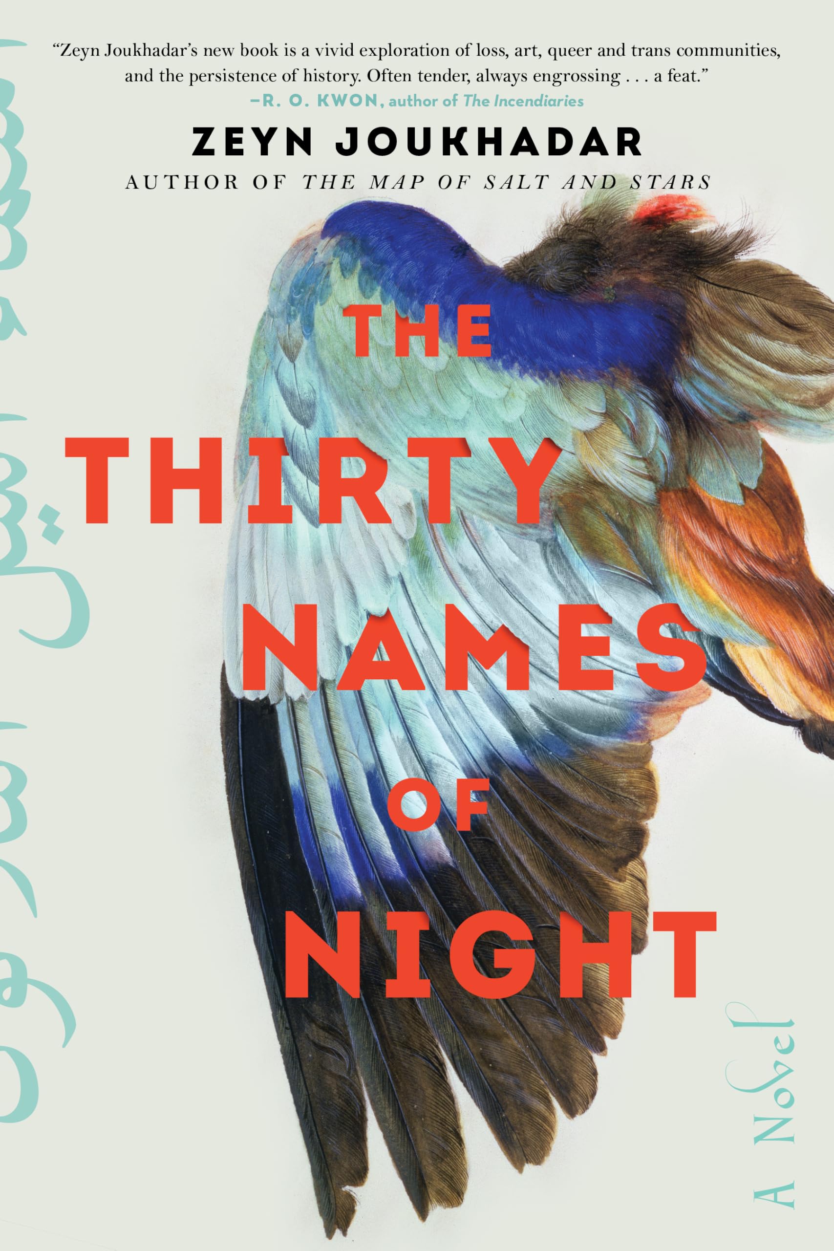 The Thirty Names of Night: A Novel