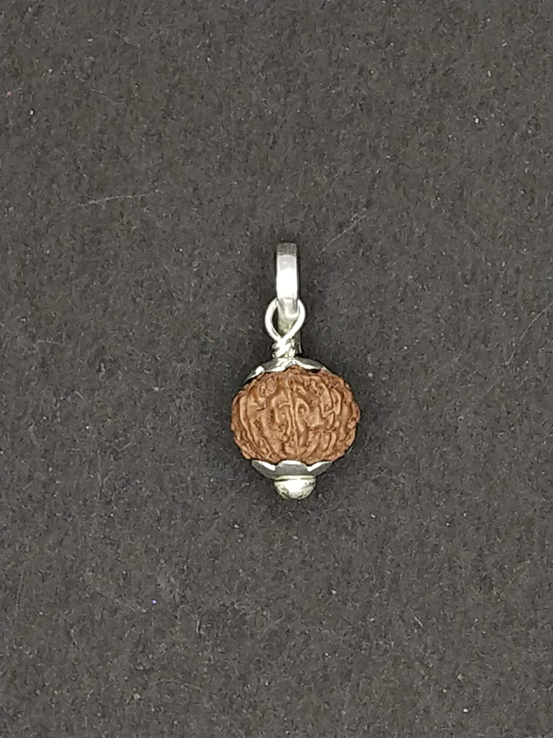 Raviour Lifestyle 9 Mukhi Rudraksha nine face Pendant 9 Faced Rudraksha Bead original Pendant for Men and Women 1