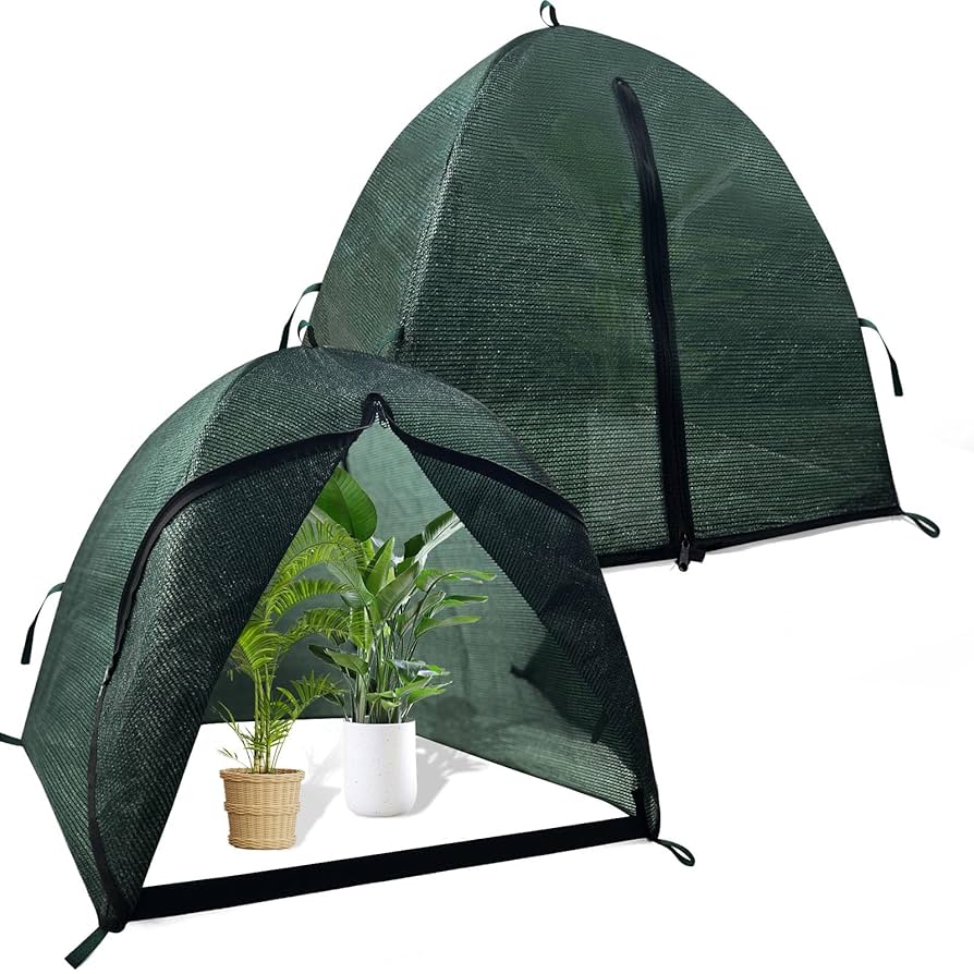 Plants under shade cloth for gradual light adjustment