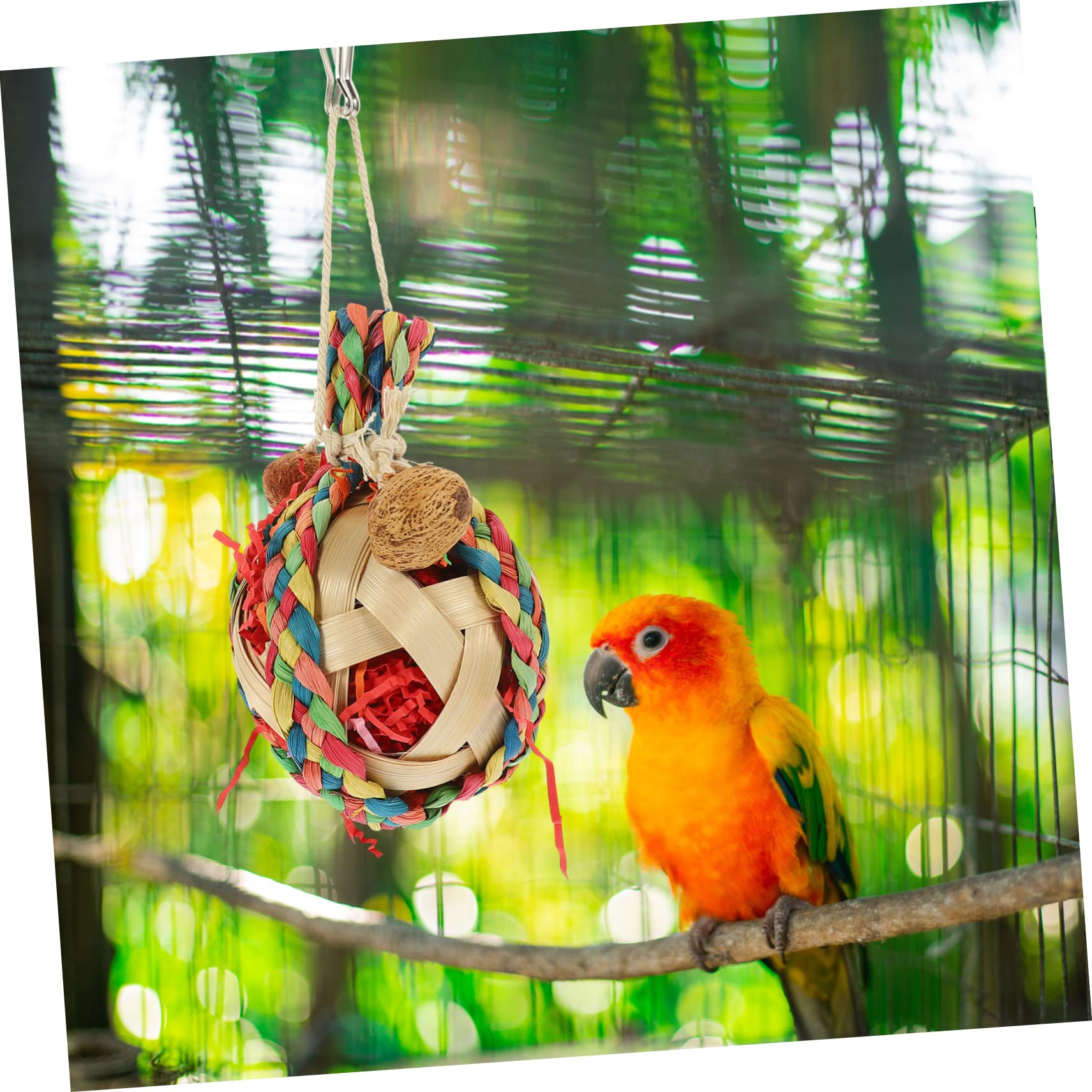 BESPORTBLE 4pièces Jou Suspendre pour Perroquet Naturel Accessoire De Jeu pour Oiseaux Jou Mâcher Déchiqueter pour Cage à Oiseaux